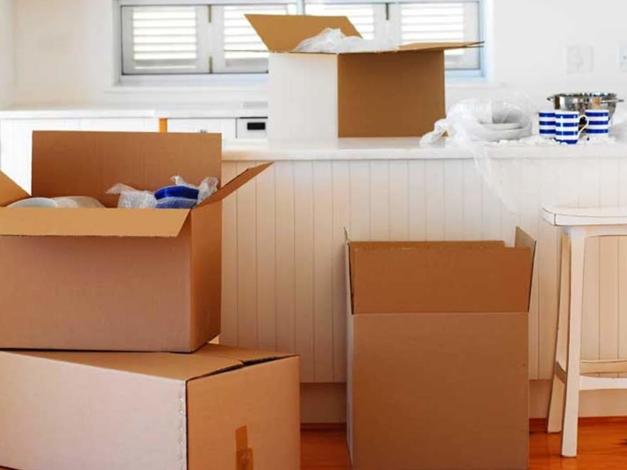 photo Strong Ant Moving