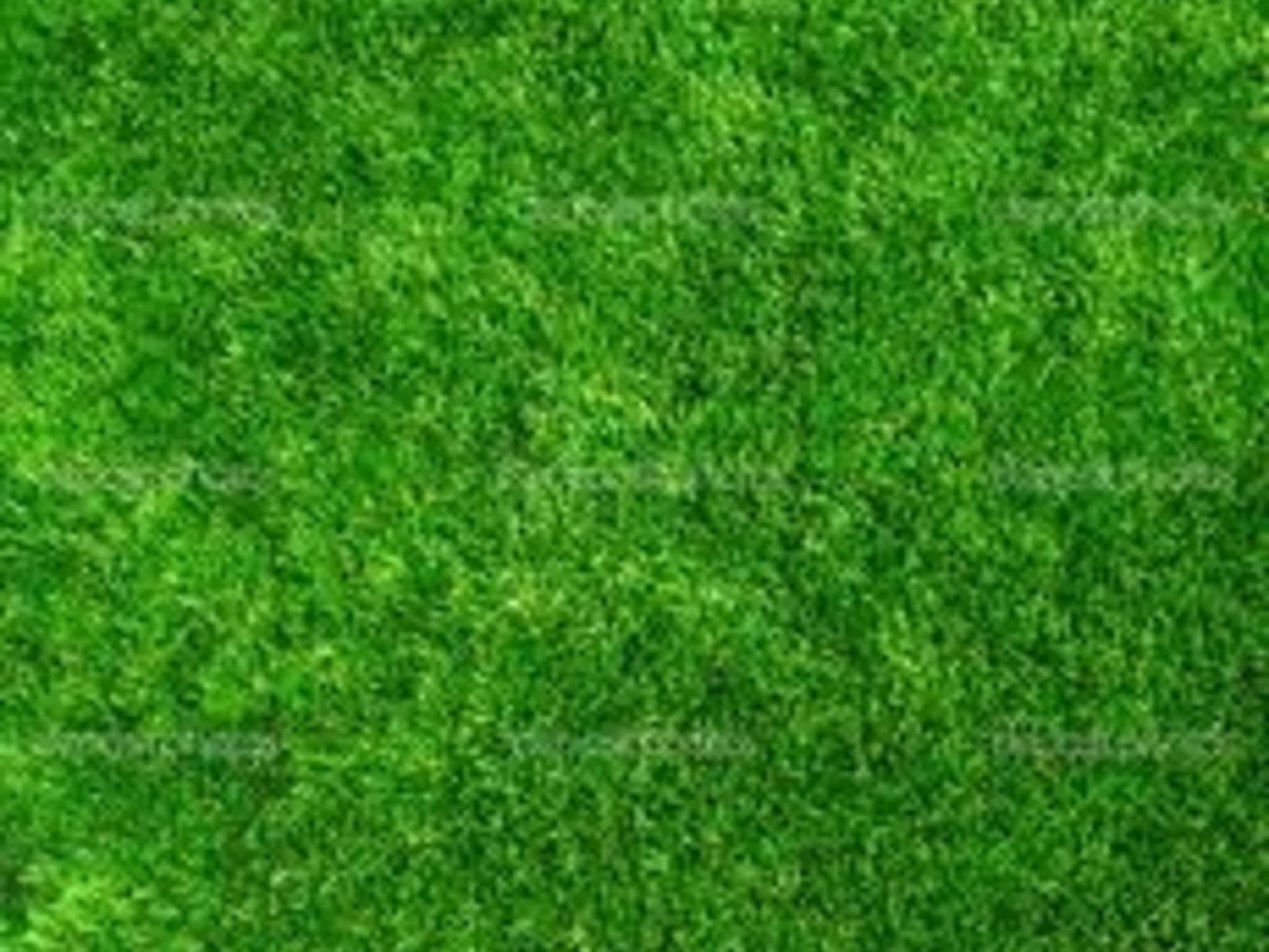 photo Apollo Landscaping