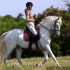 Aragon Equestrian Centre - Dressage de chevaux