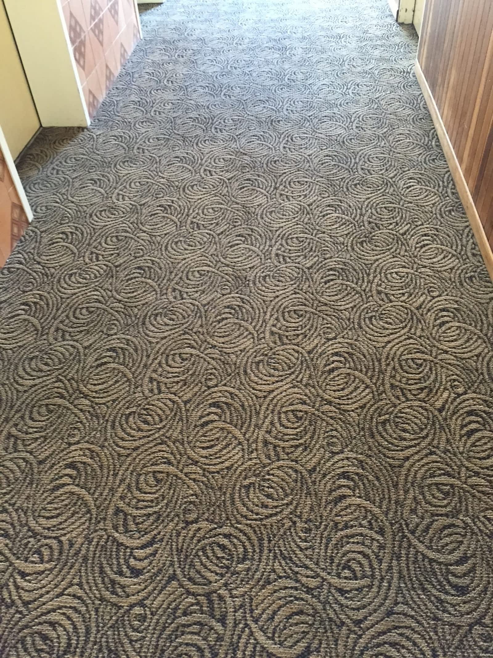 Burlington Carpet Care Services Opening Hours 1348 Fieldcrest