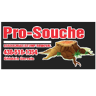 Pro-Souche - Service d'entretien d'arbres