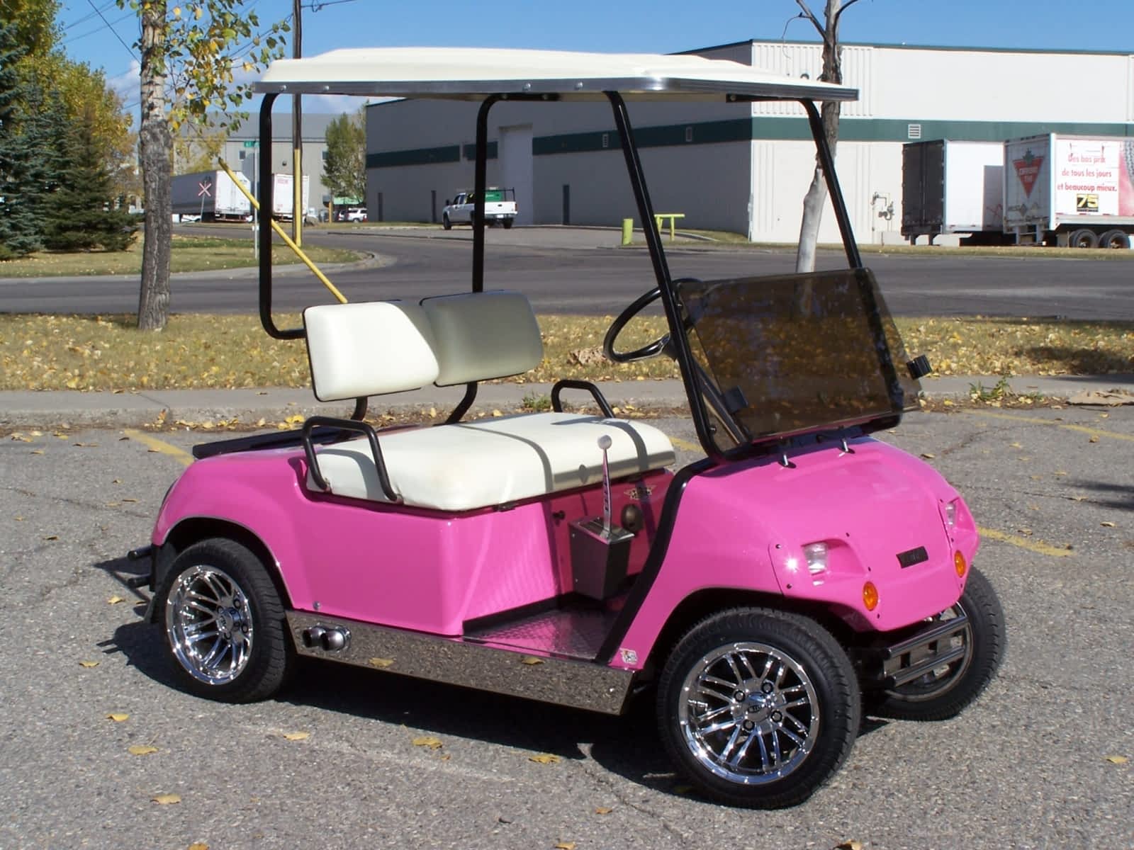 Golf Cart For Sale Calgary Golf cart help Golf Cart For Sale Calgary Golf cart help