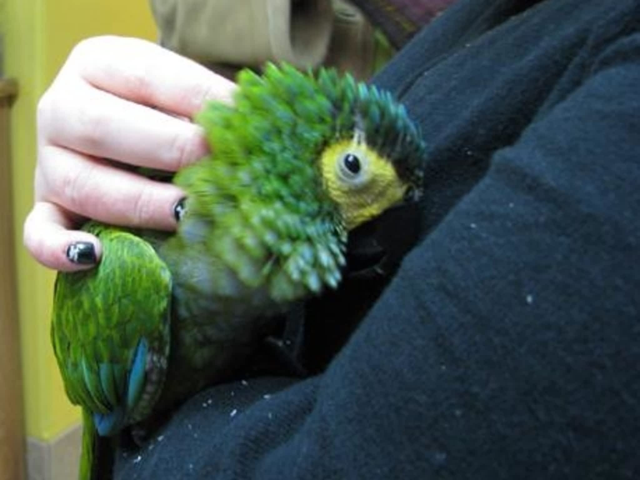 photo Kat's Critter Care