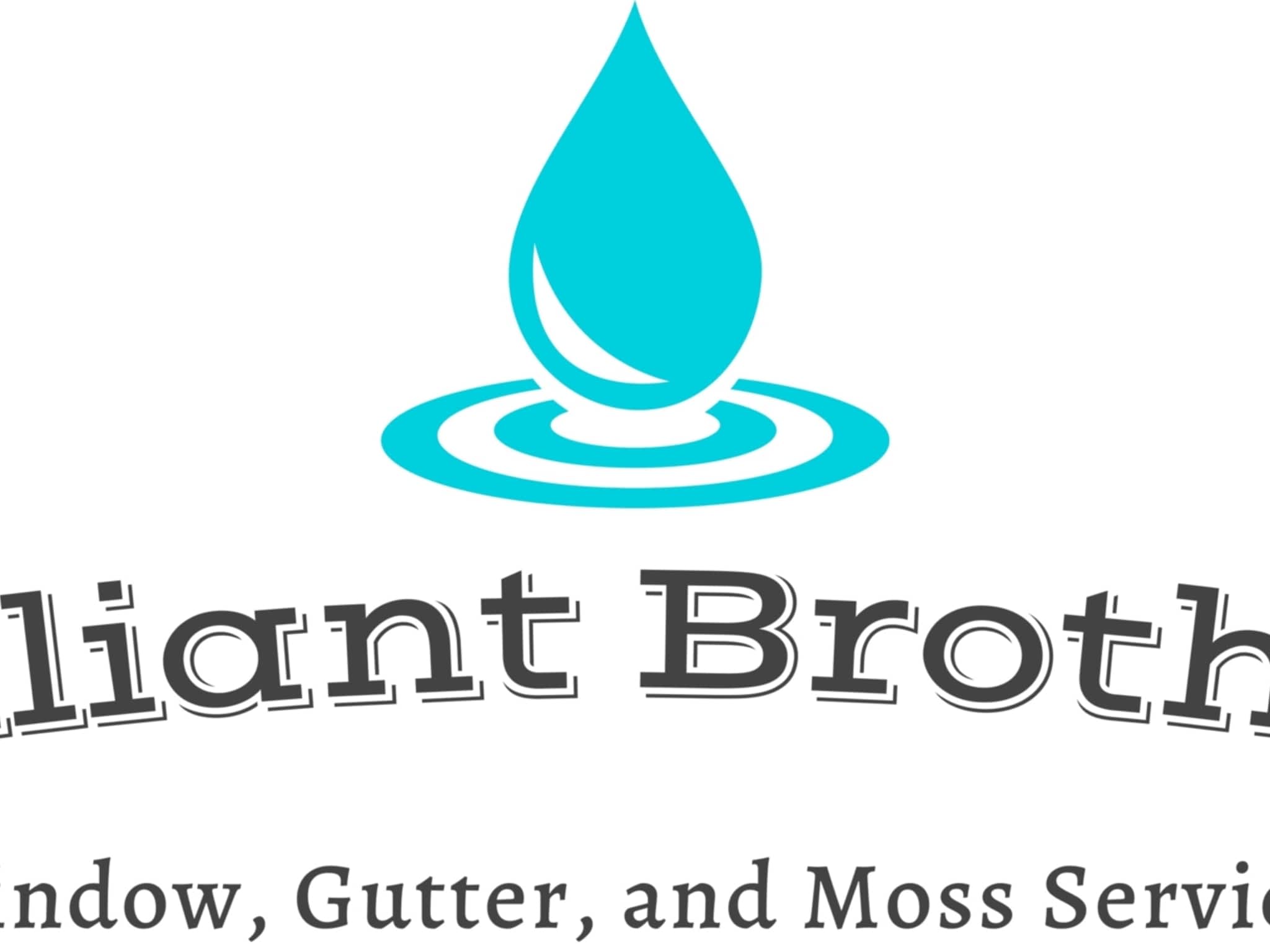 photo Brilliant Brothers Services