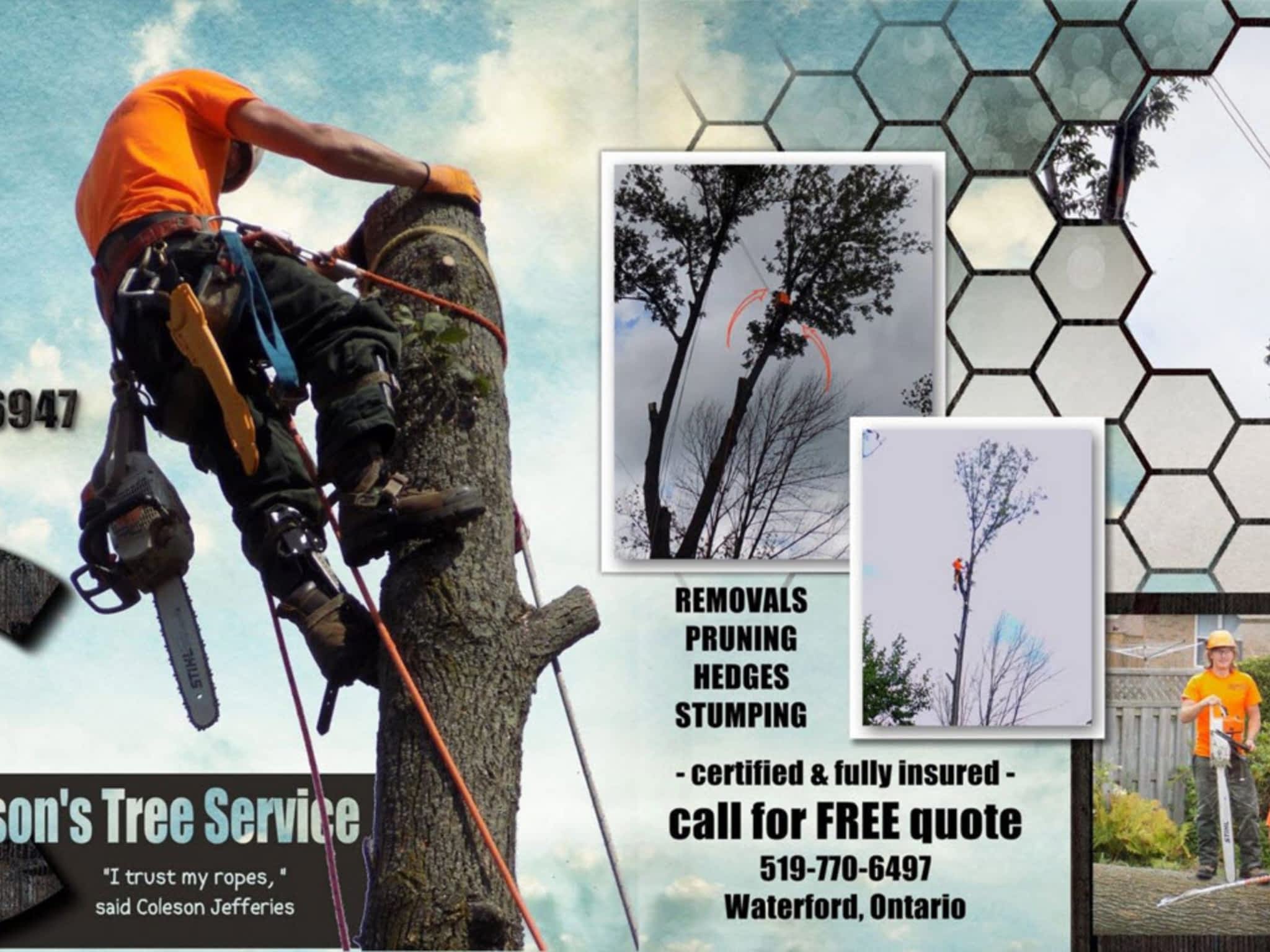 photo Coleson's Tree Service