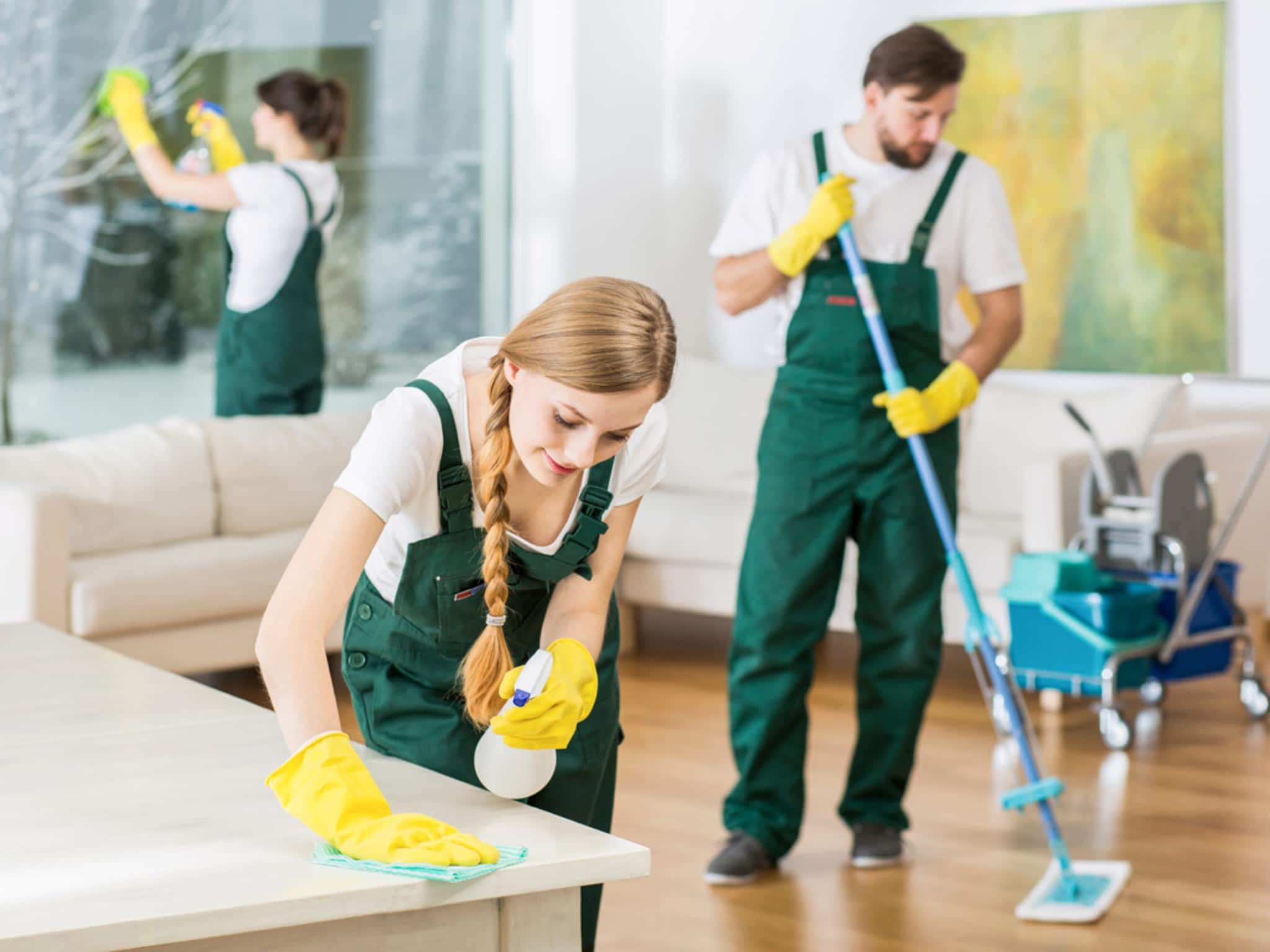 photo Borgy's Cleaning Services