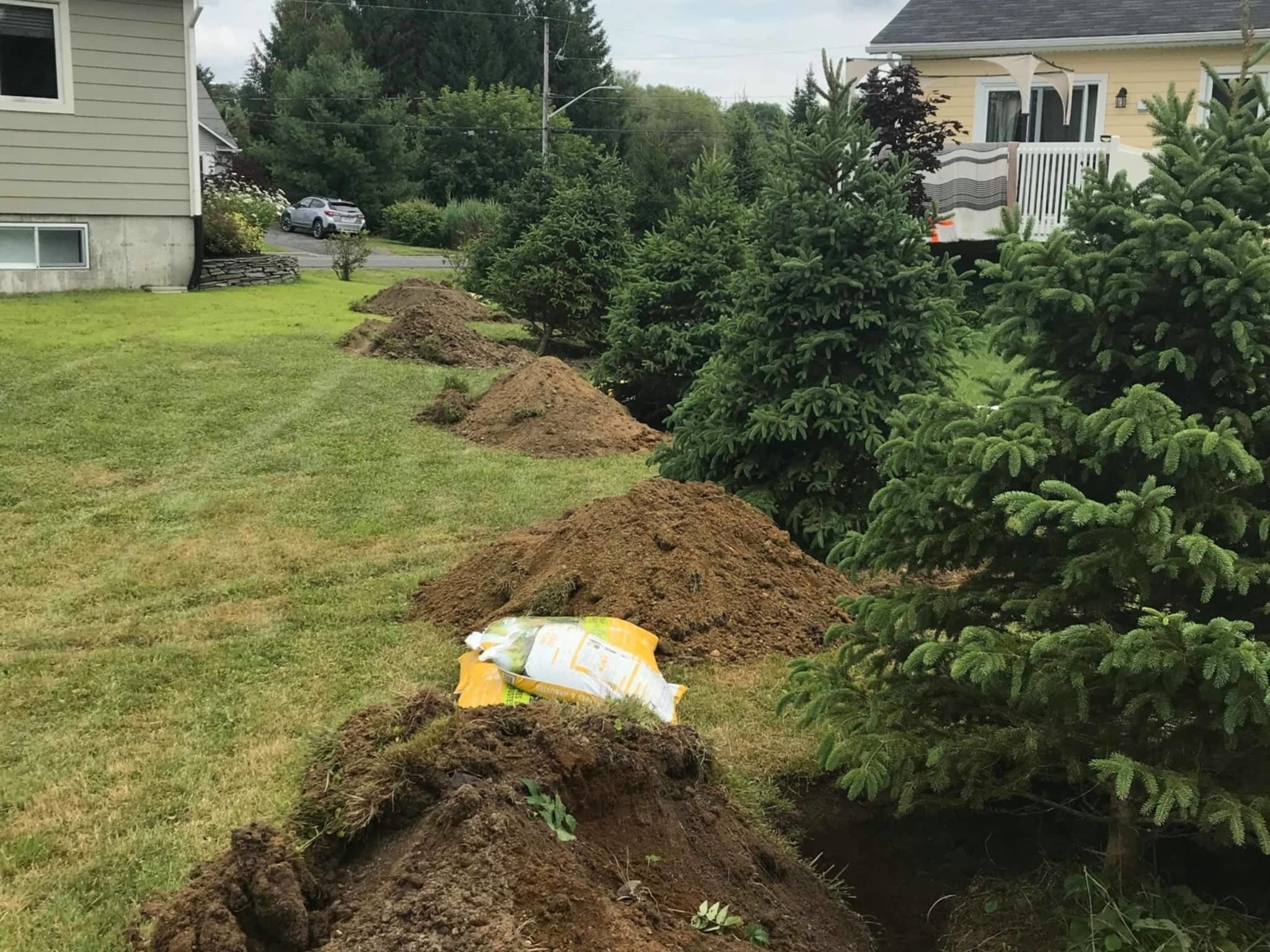 photo Swift Services