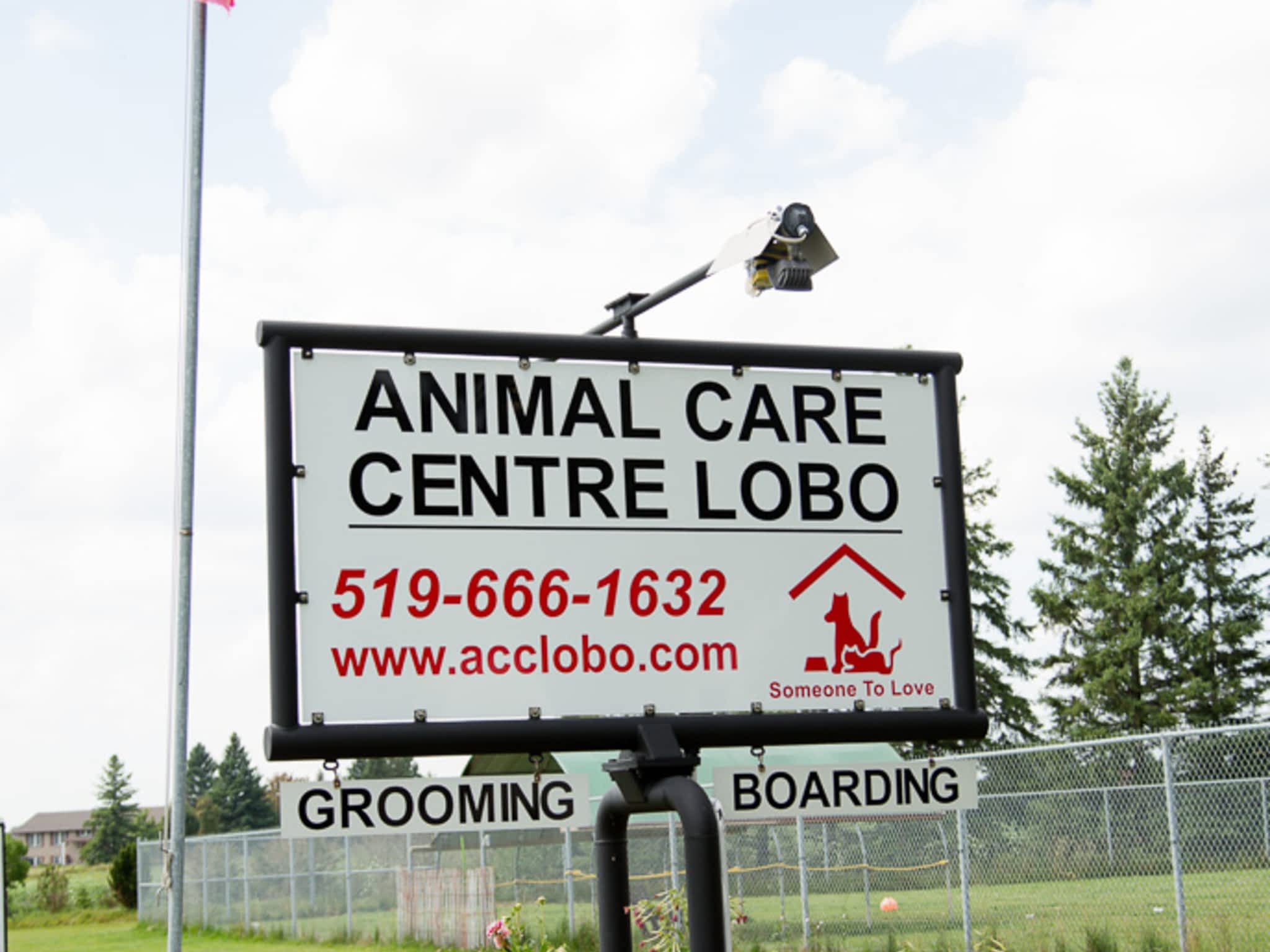 photo Animal Care Centre-Lobo