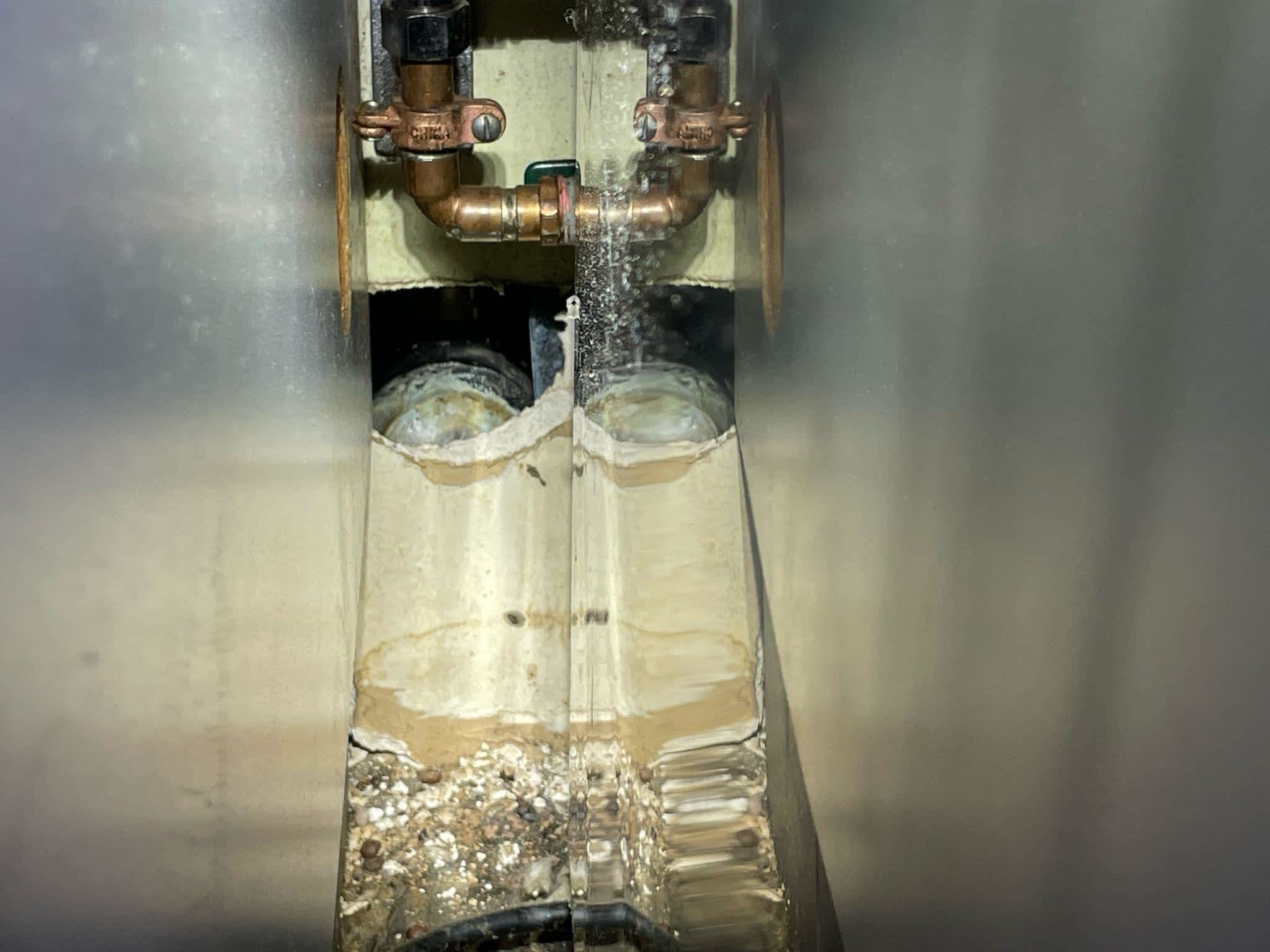 photo Phantom Pest Control Maple Ridge