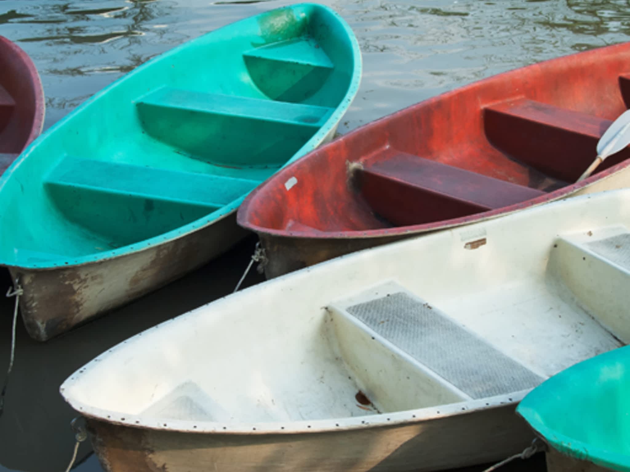 photo Fibre De Verre Plus Enr