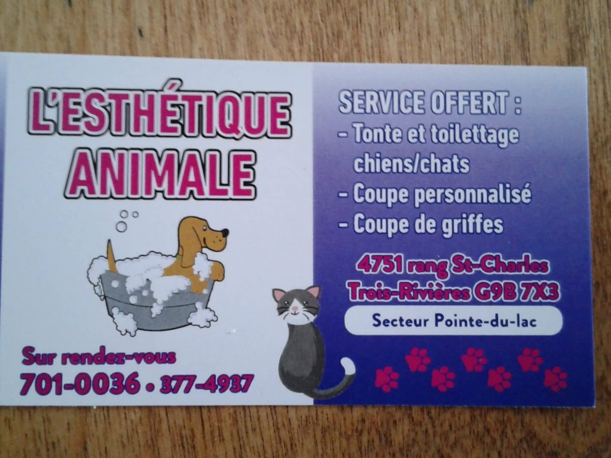 photo L'Esthétique Animale