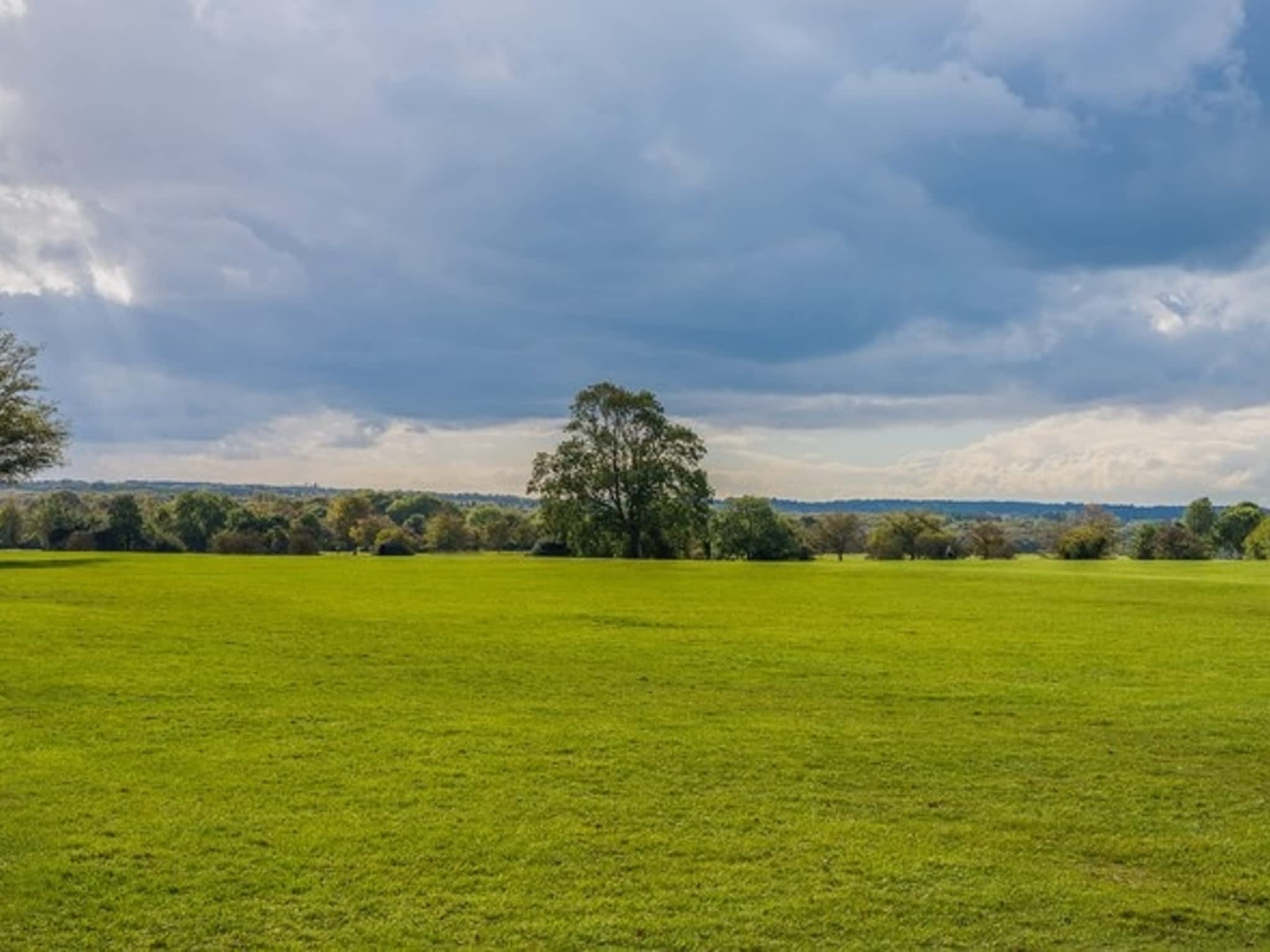 photo Bladerunner Inc.