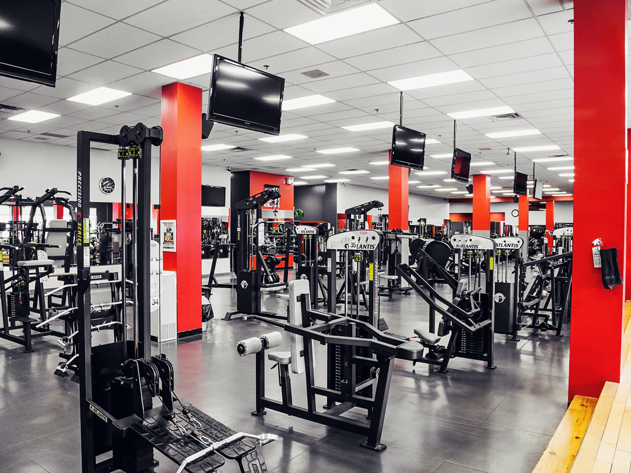 photo Conditionnement Flex