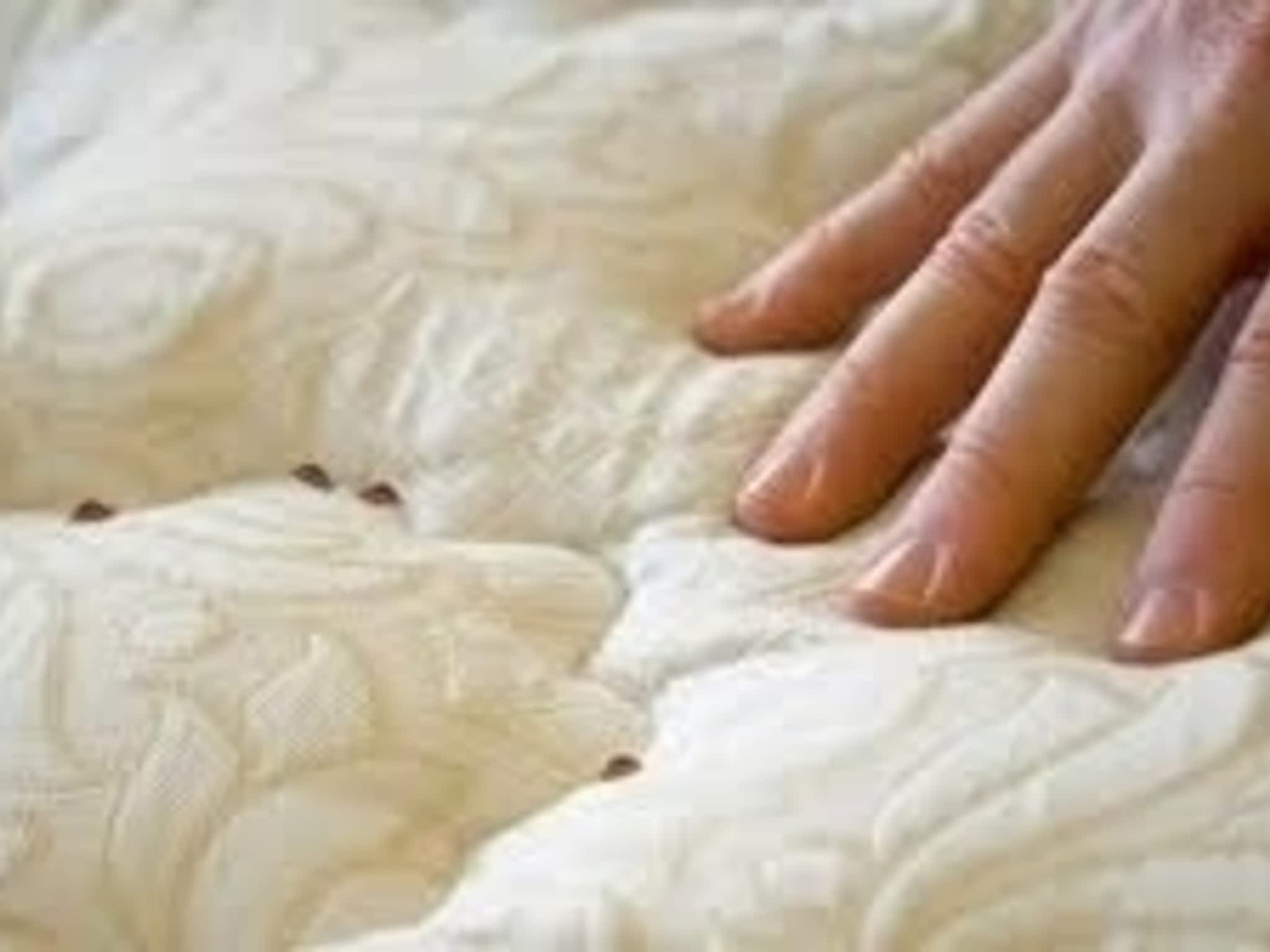 photo Solution Cimex