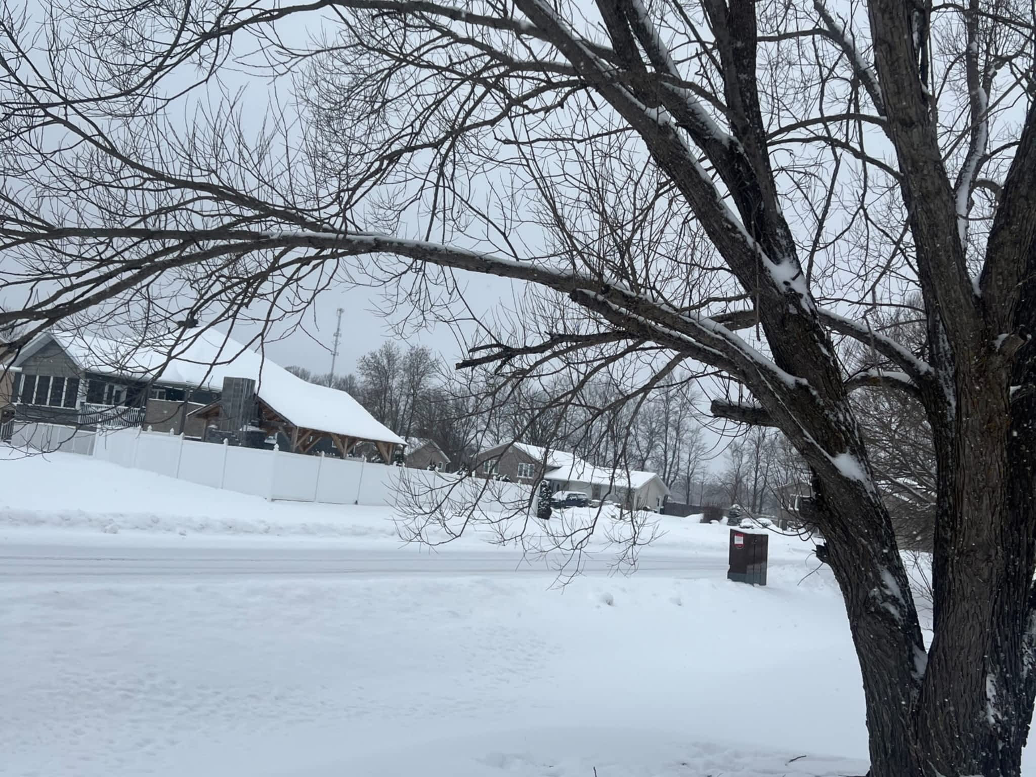 photo Juneau Tree Services