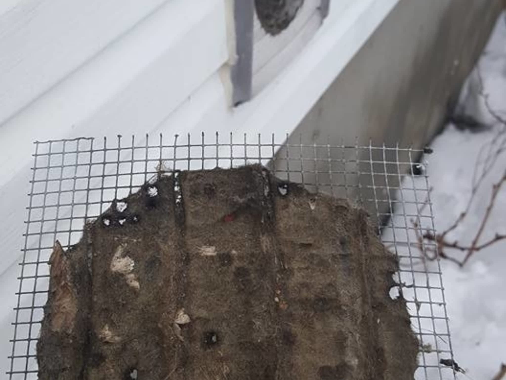 photo Éco Ventilo Max