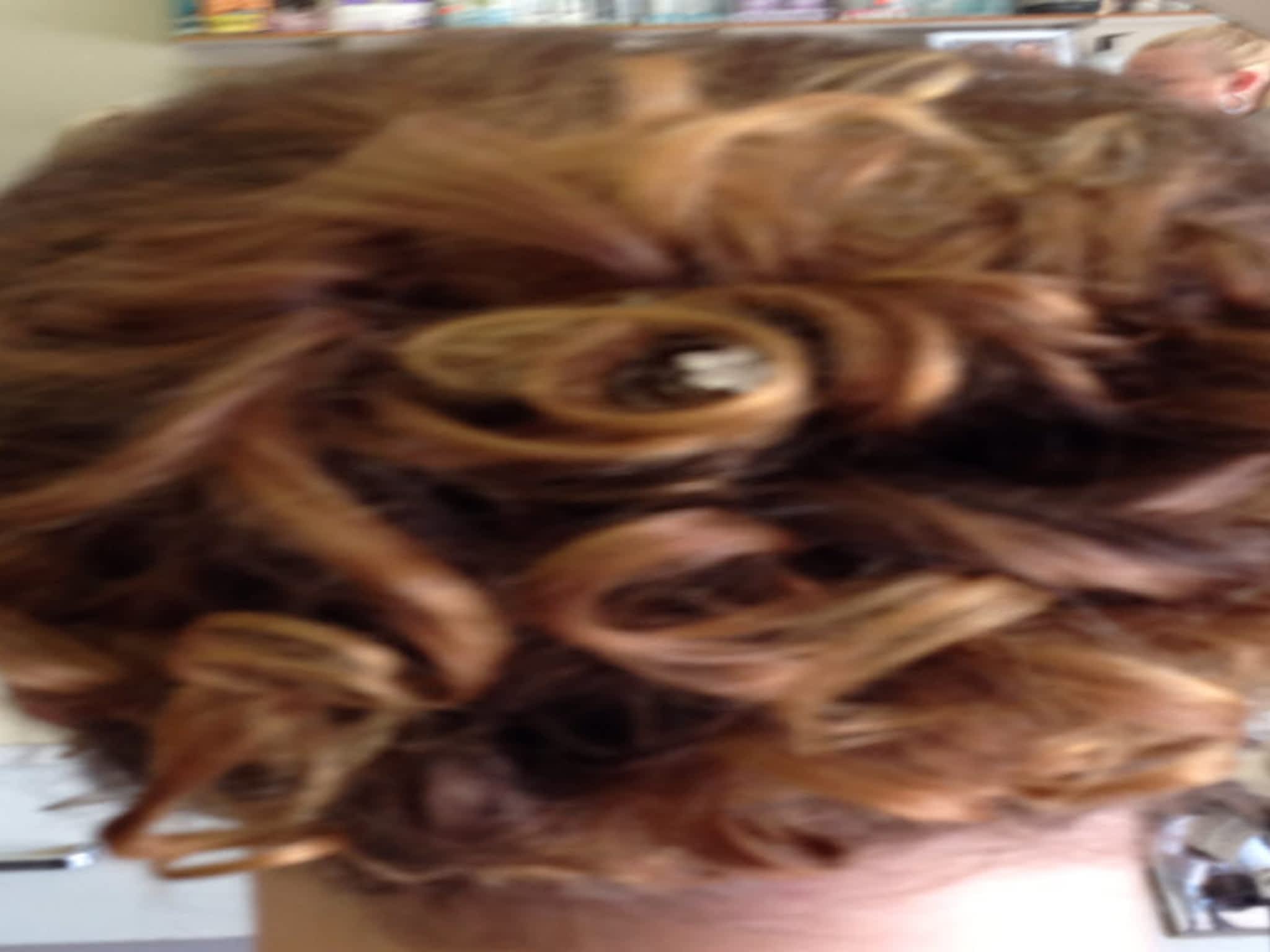 Top Notch Hair Designs By Judy Brandon, MB 1605 College Ave Canpages