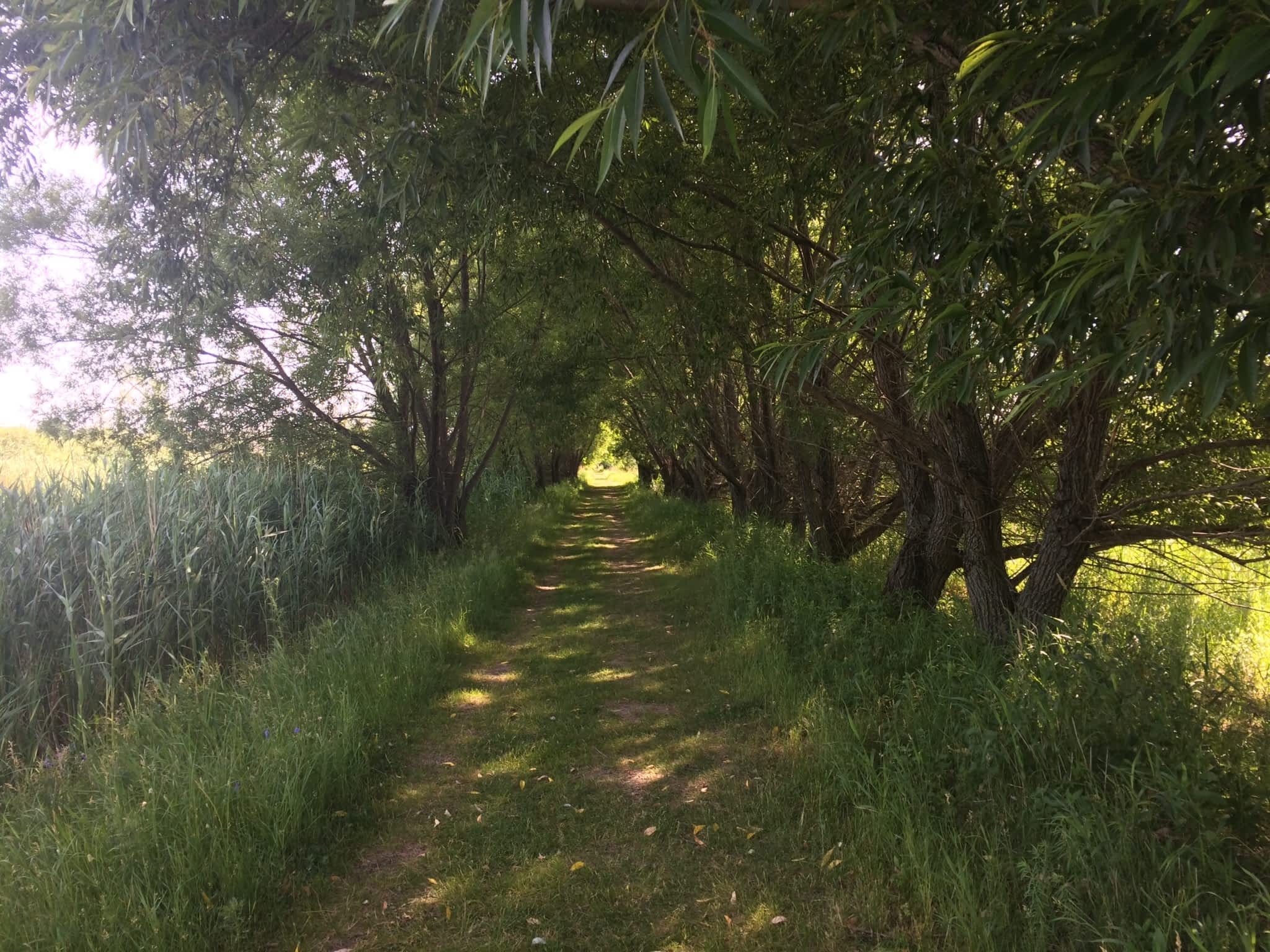 photo Vivacité Châteauguay