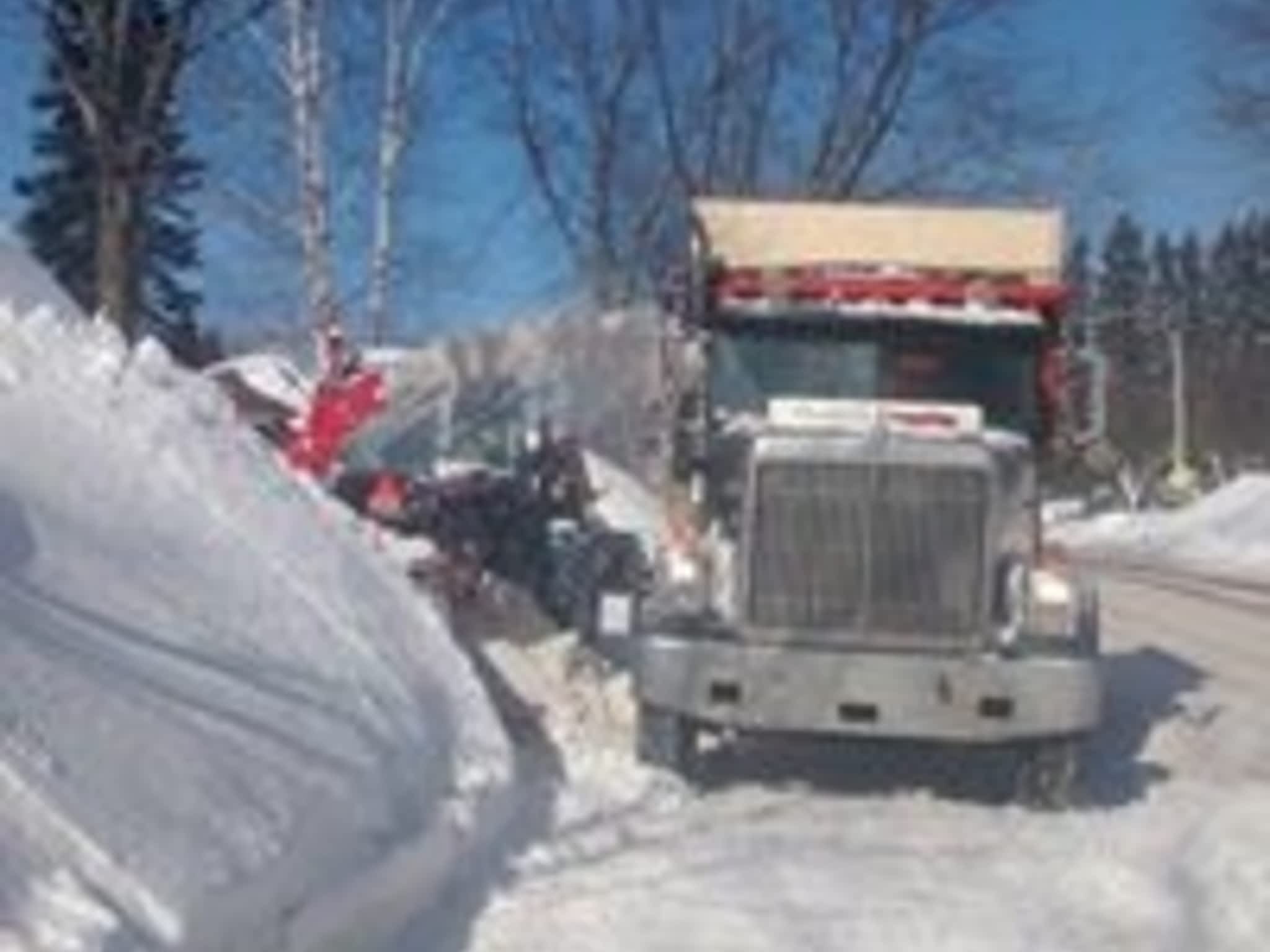 photo JRM excavation