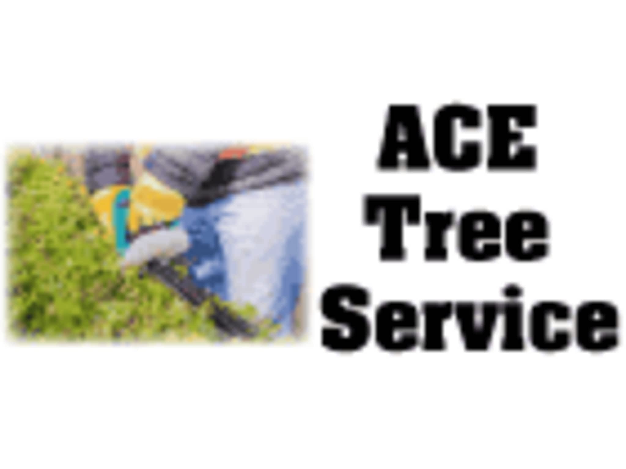 photo ACE Tree Service