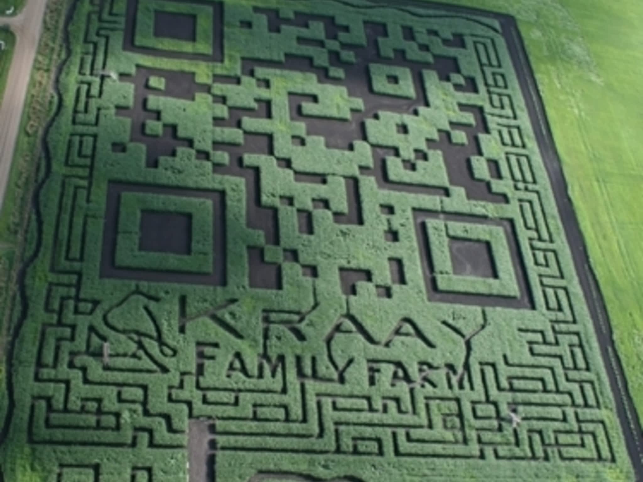 photo Lacombe Corn Maze