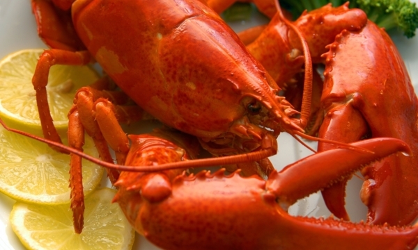 Superior seafood: Lobster you'll love in Calgary | YP Smart Lists