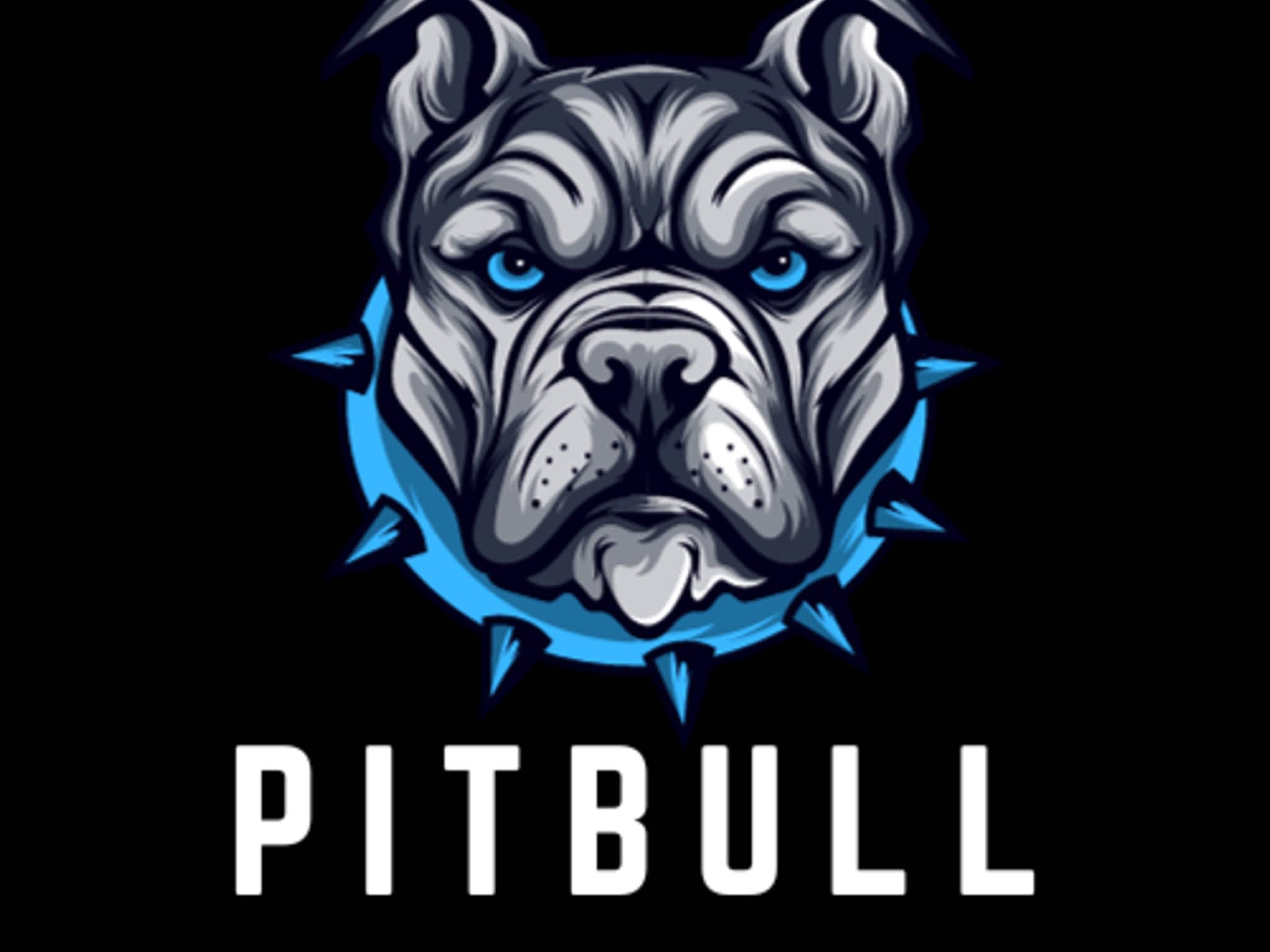 photo Pitbull Electrical Services