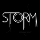 Storm Hair - Logo