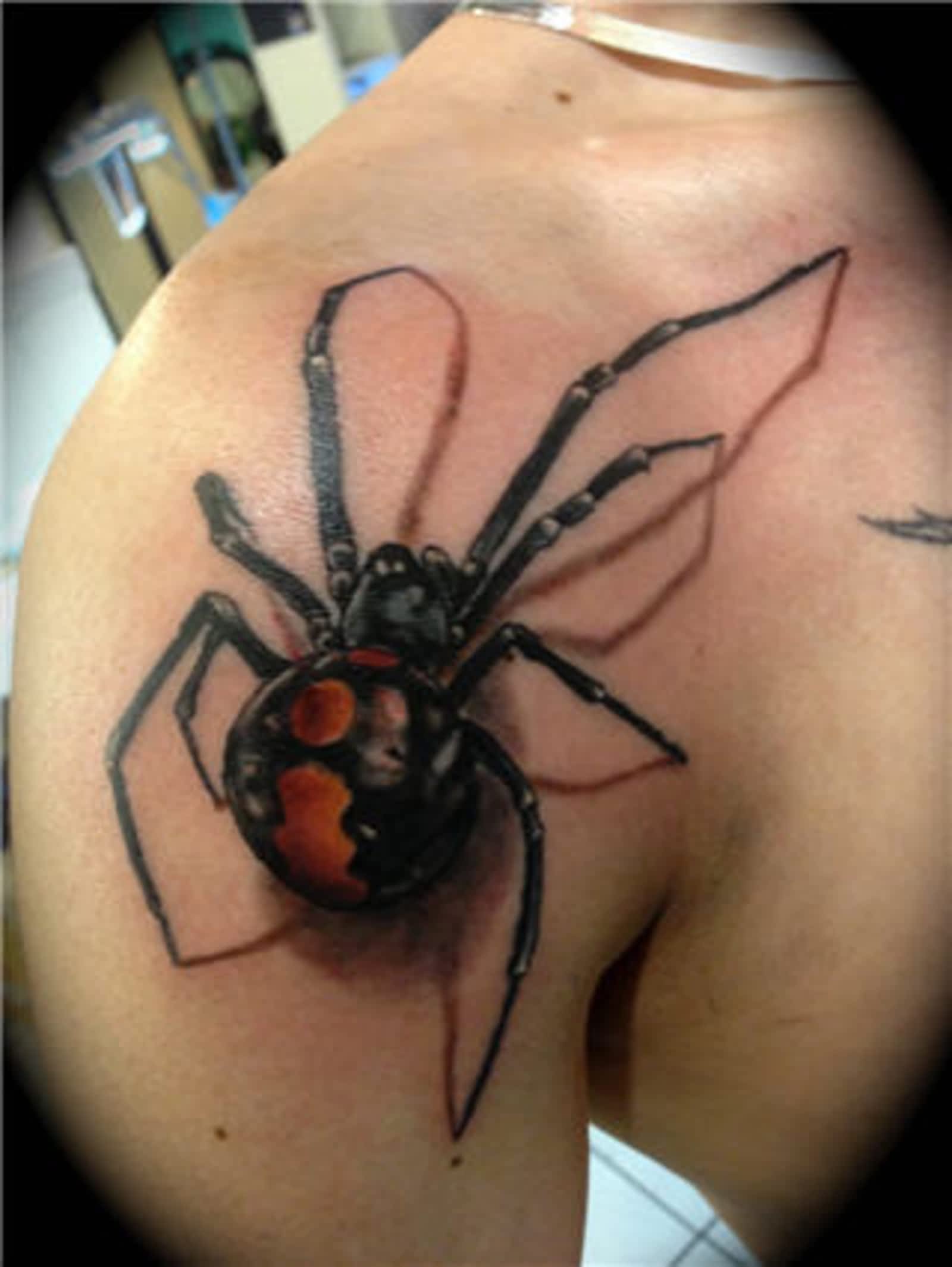 Wow black widow spider TIFU by