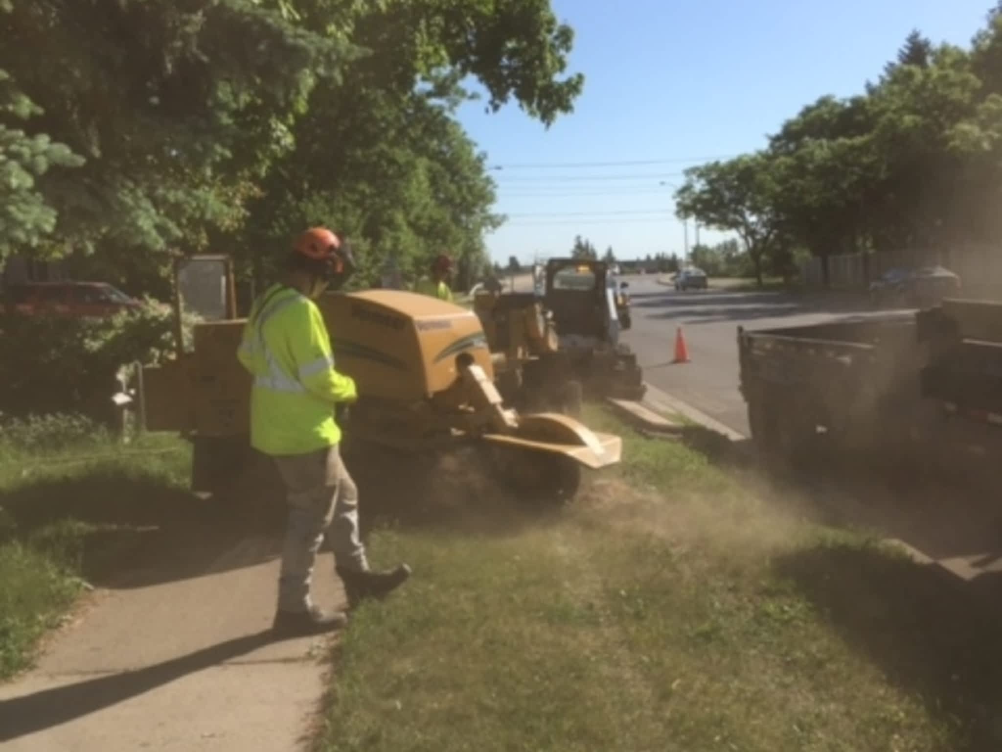 photo Ott's Tree Service