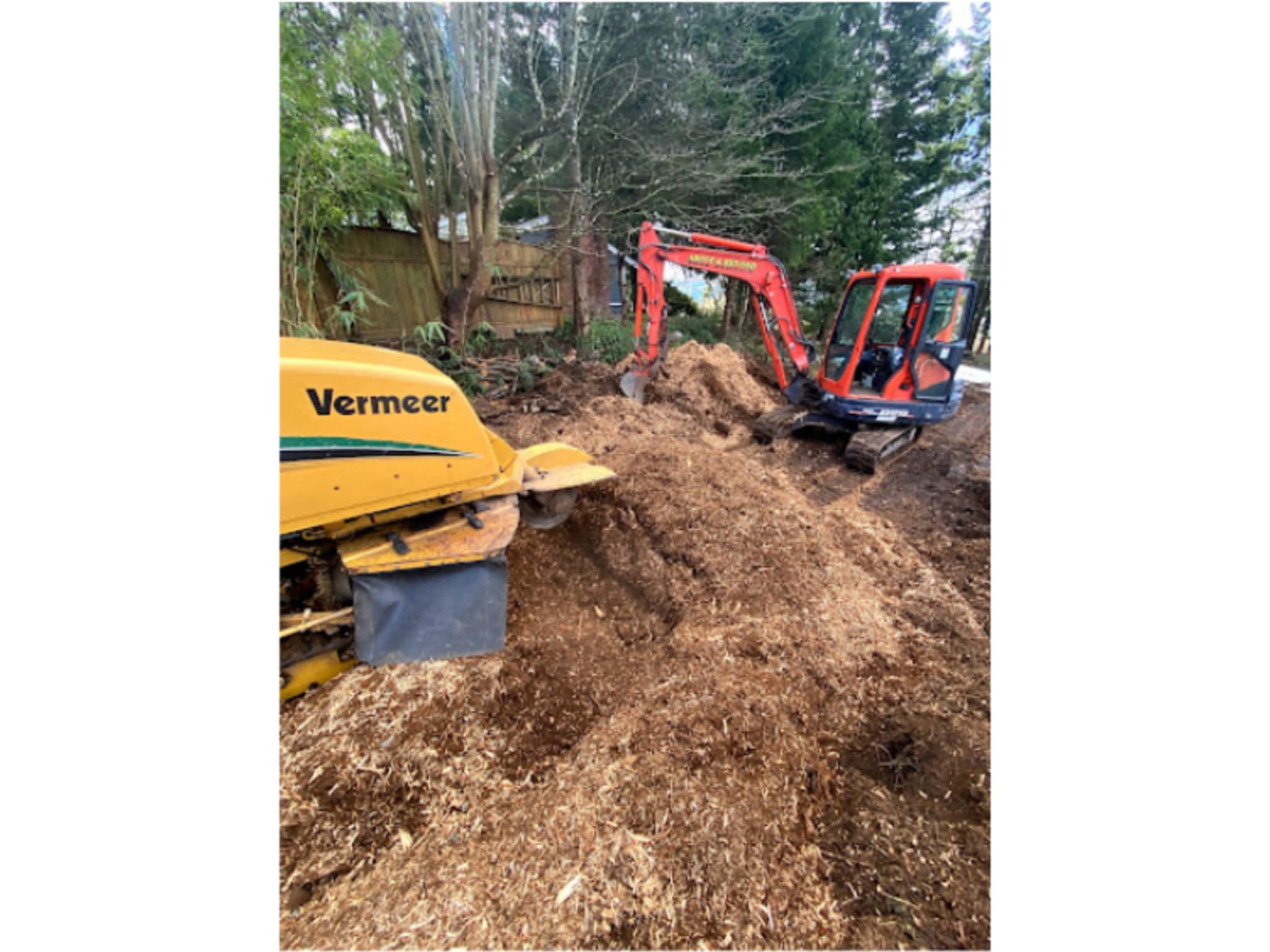 photo Above & Beyond Tree Service