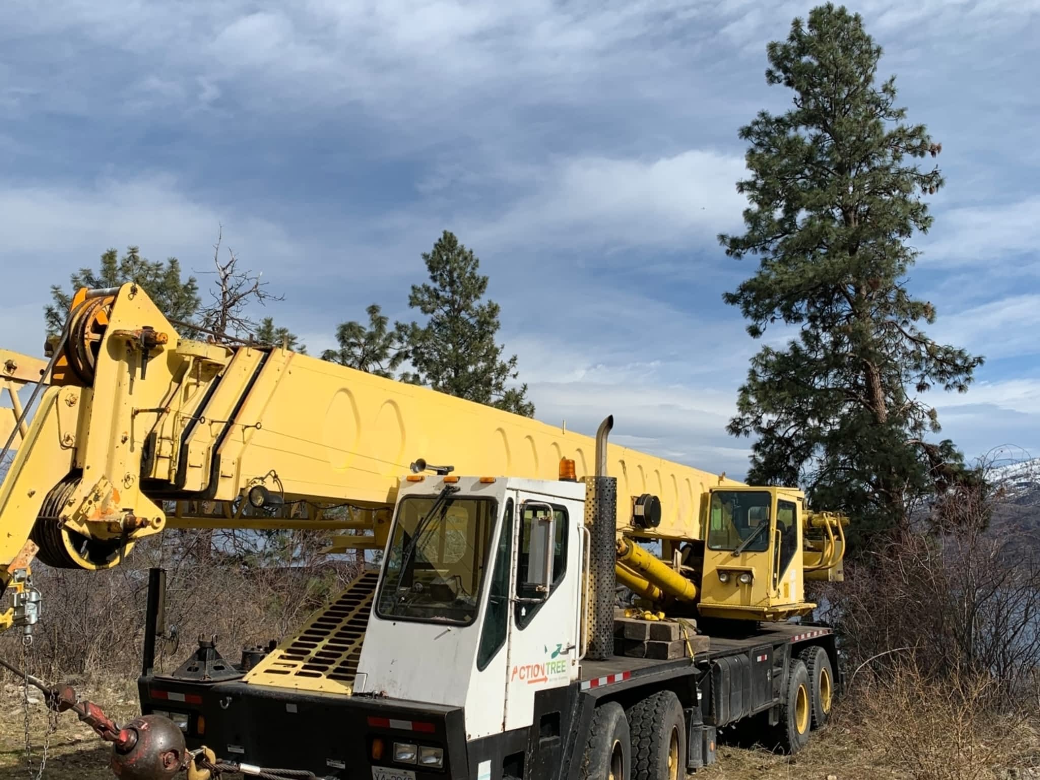 photo Action Tree Service
