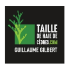 Taille de haie de cèdre Guillaume Gilbert - Tree Service