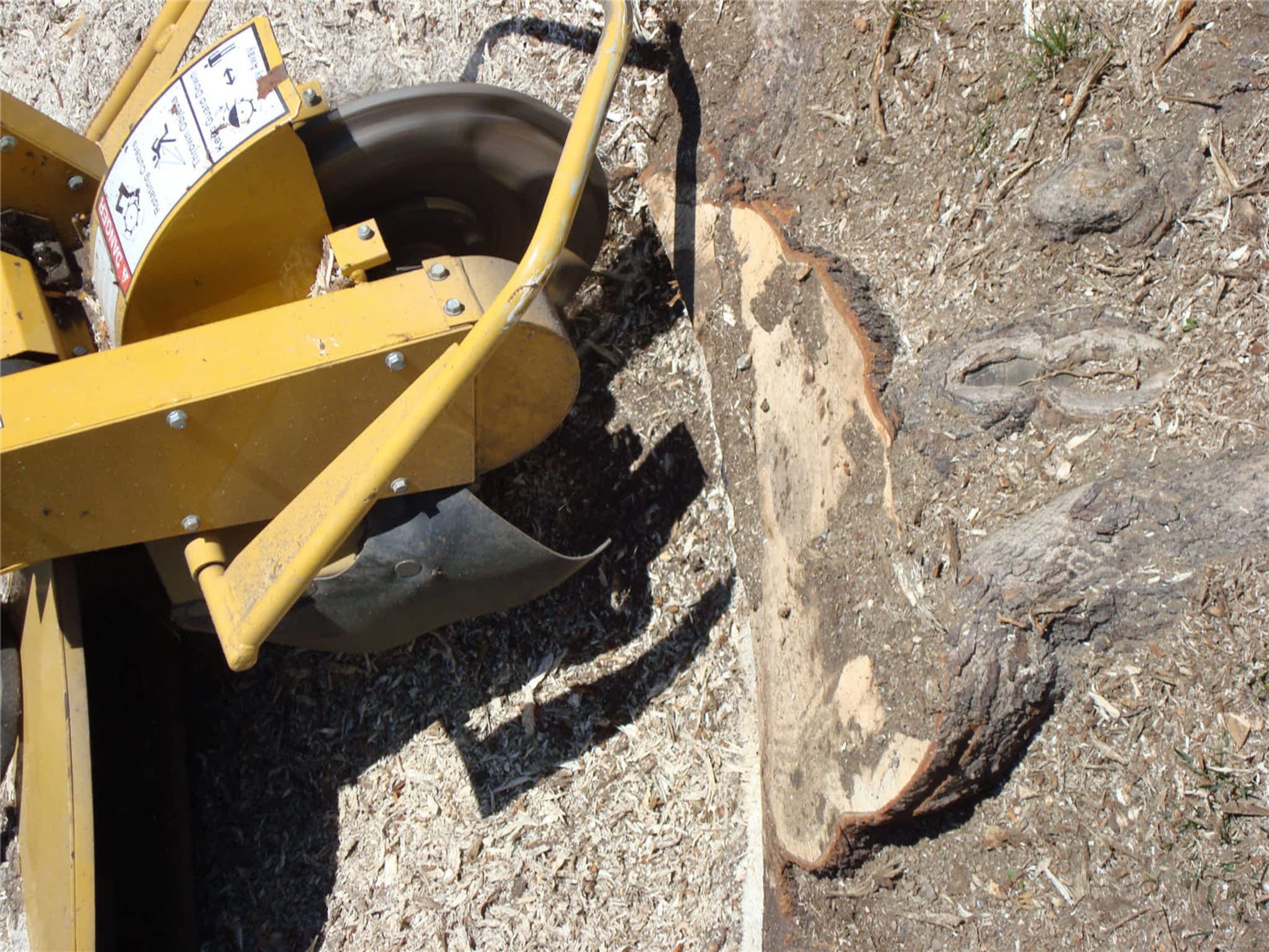 photo COOP de l'Arbre