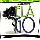Arboriste ÉLAGO - Service d'entretien d'arbres