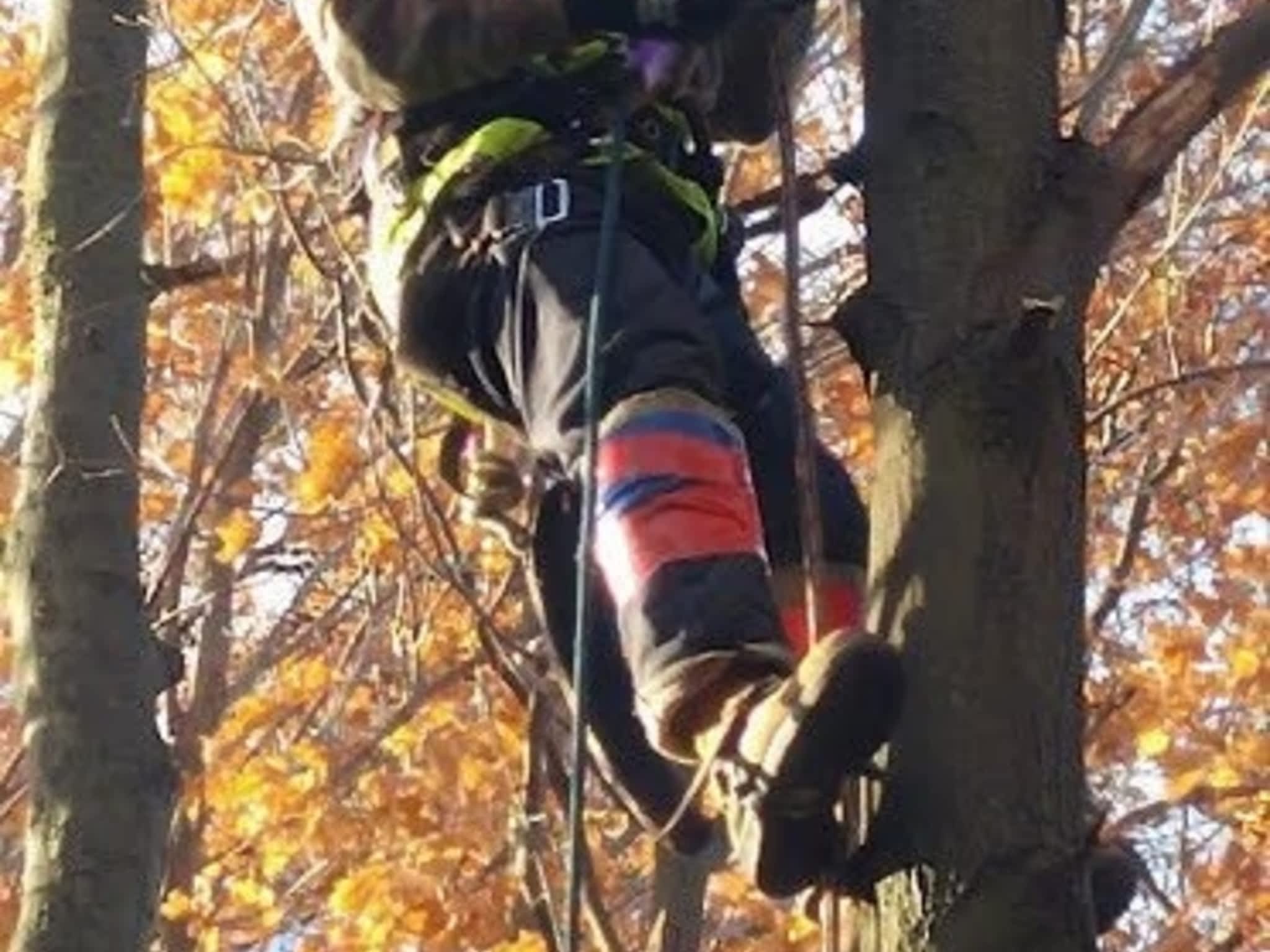 photo Wright's Tree Care