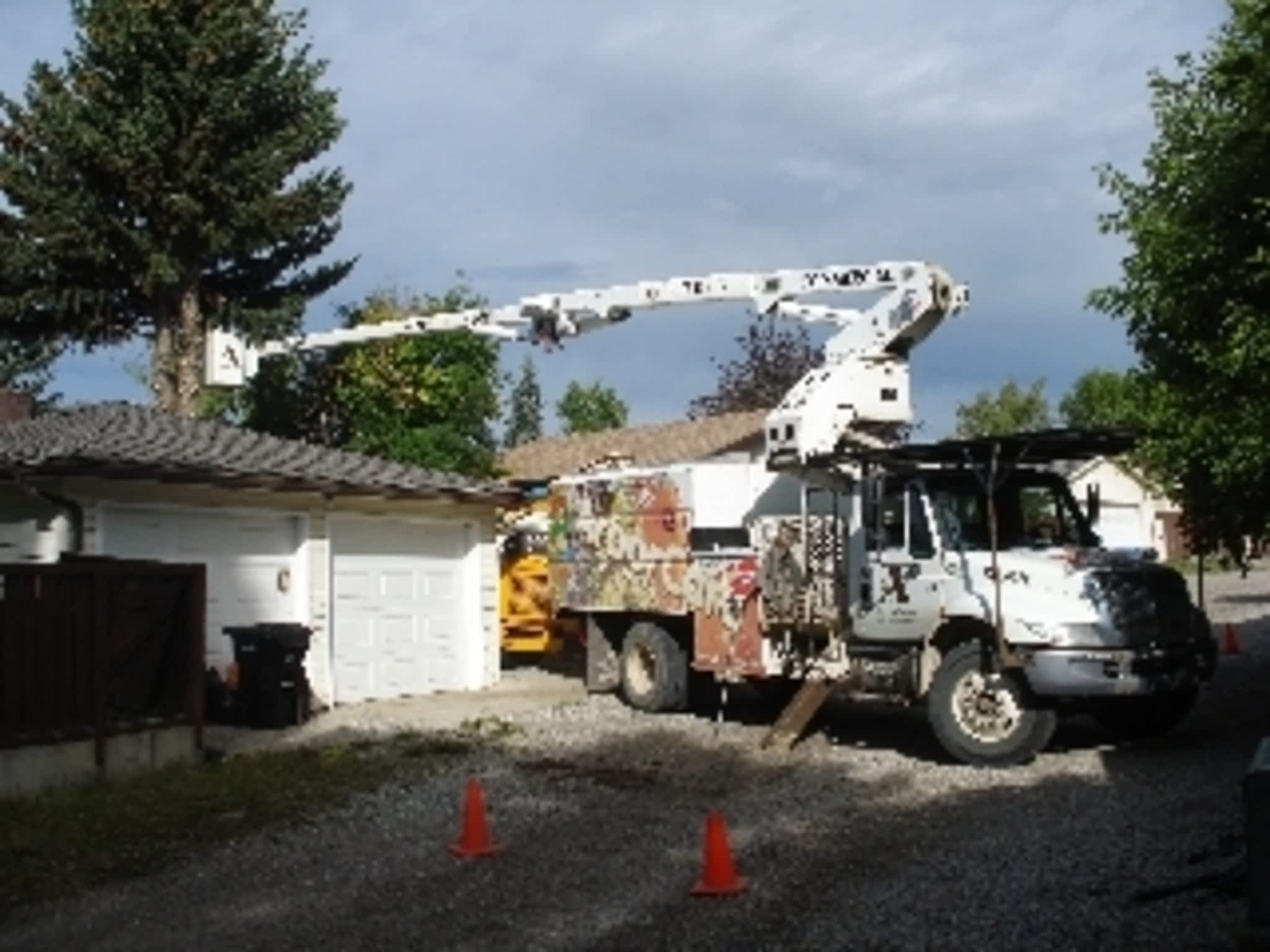 photo ArborCare Tree Service