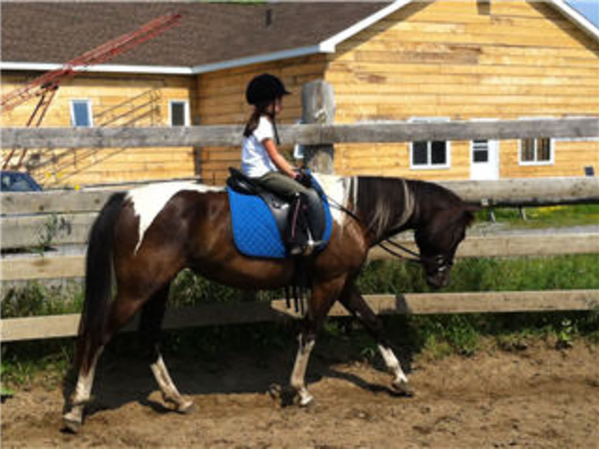 photo École d'Équitation De Villers