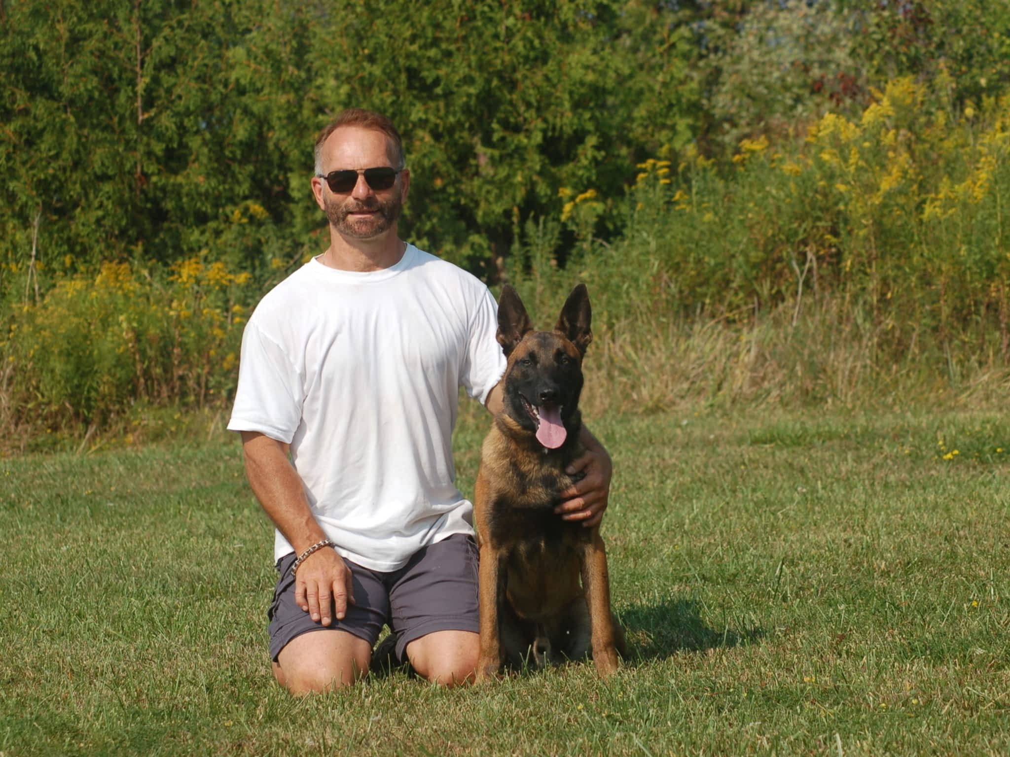 photo Command Control K-9