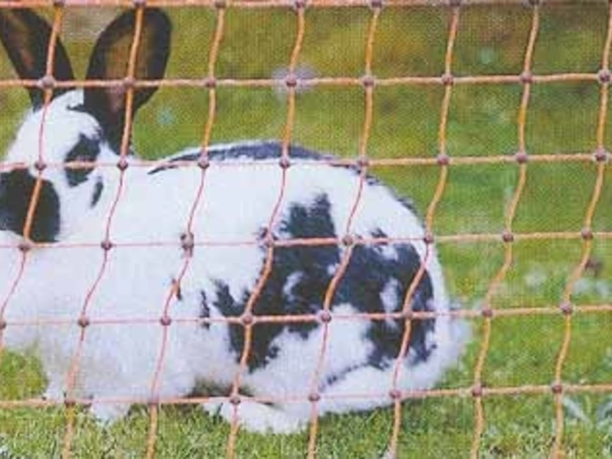 photo Ferris Farms & Fencing