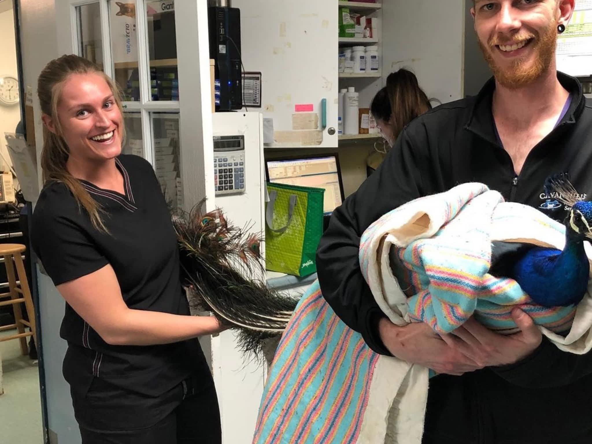 photo Cavan Hills Veterinary Services