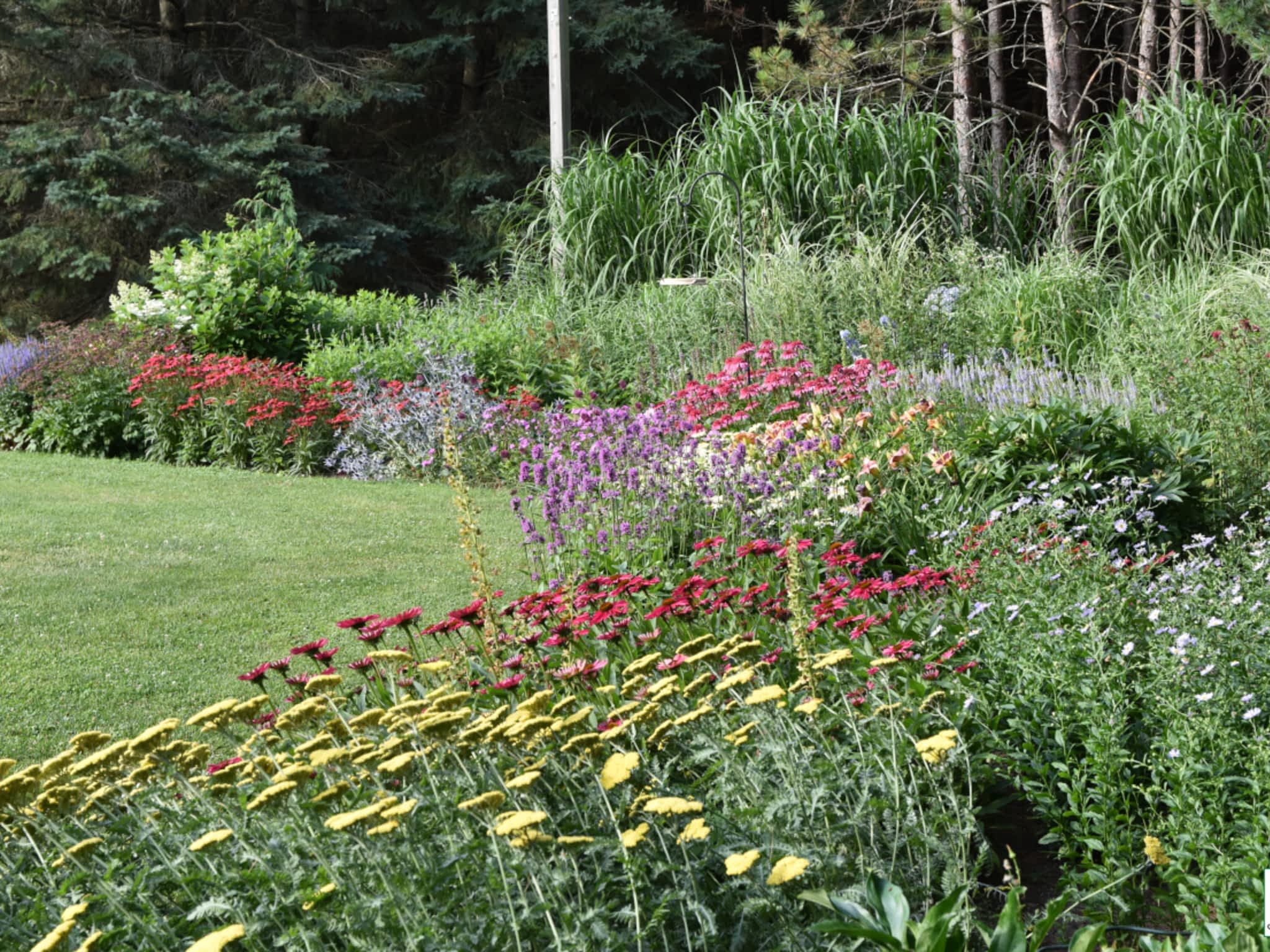 photo Plant Paradise Country Gardens