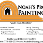 Noah's Pro Painting - Painters