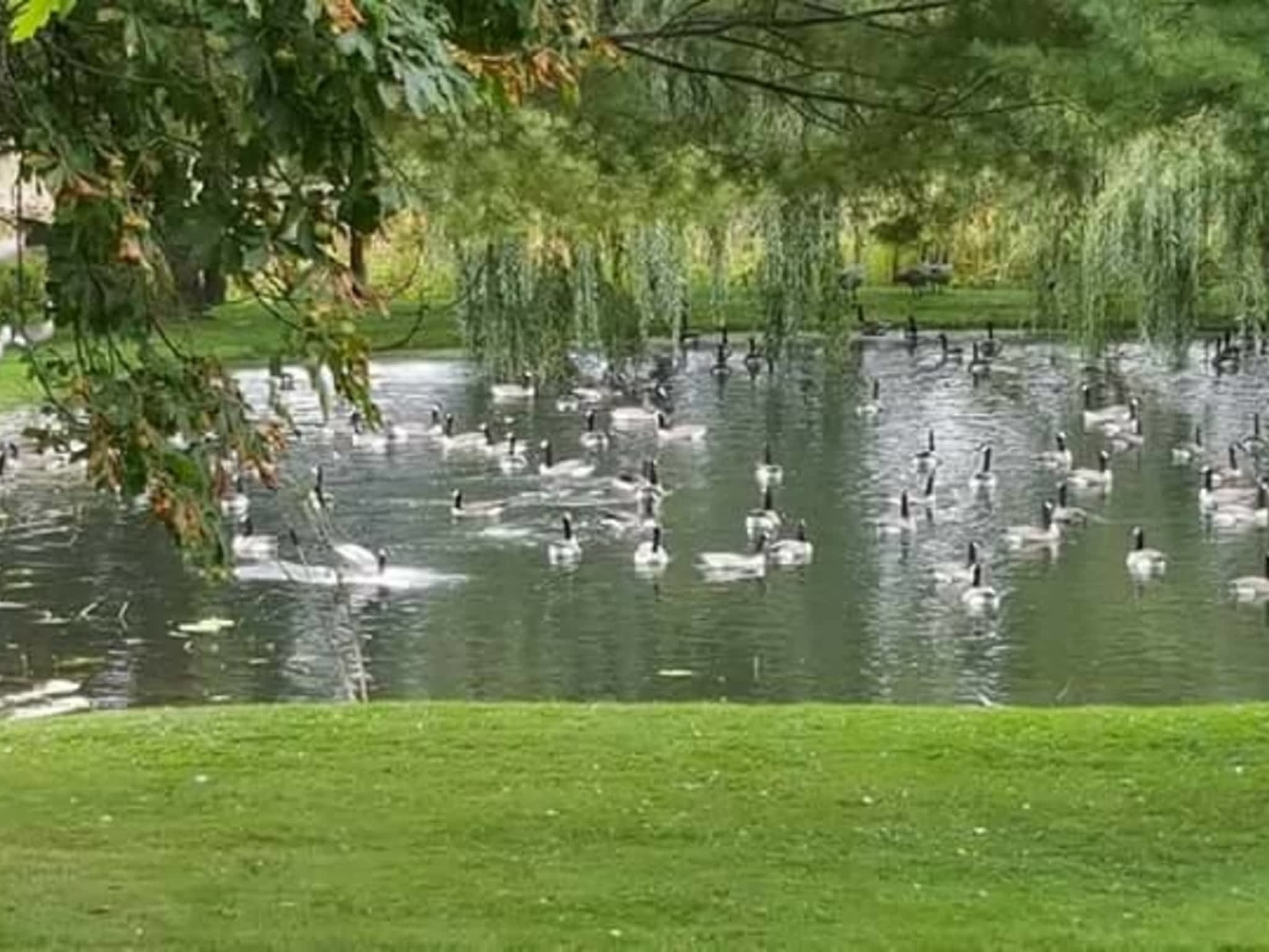 The Doctor's Inn Bed & Breakfast Owen Sound, ON 438496 Grey Rd Owen Sound Ontario Canpages