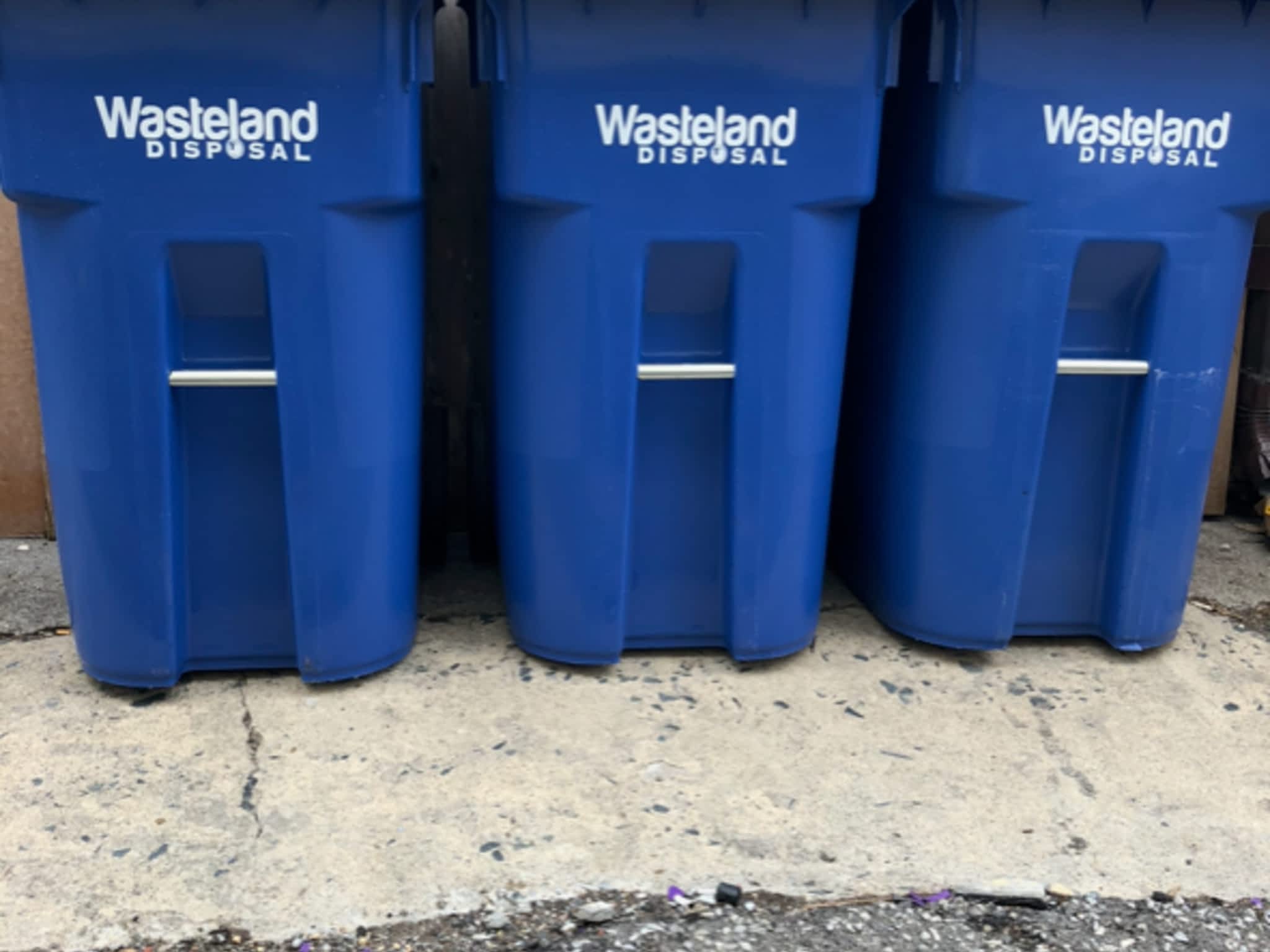 photo Wasteland Disposal