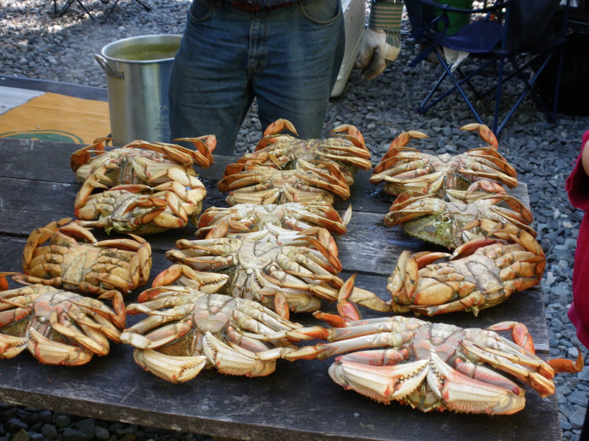 photo Roads End Ventures