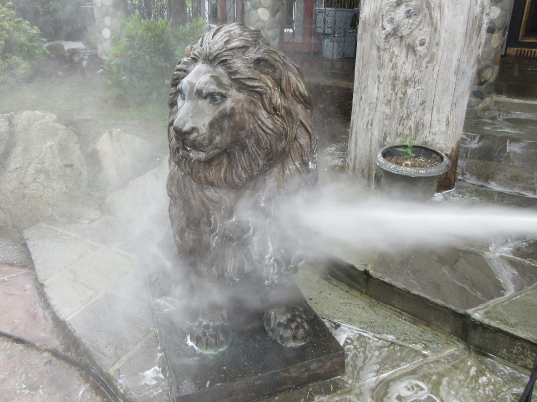 photo Panda Hot Water Power Washing
