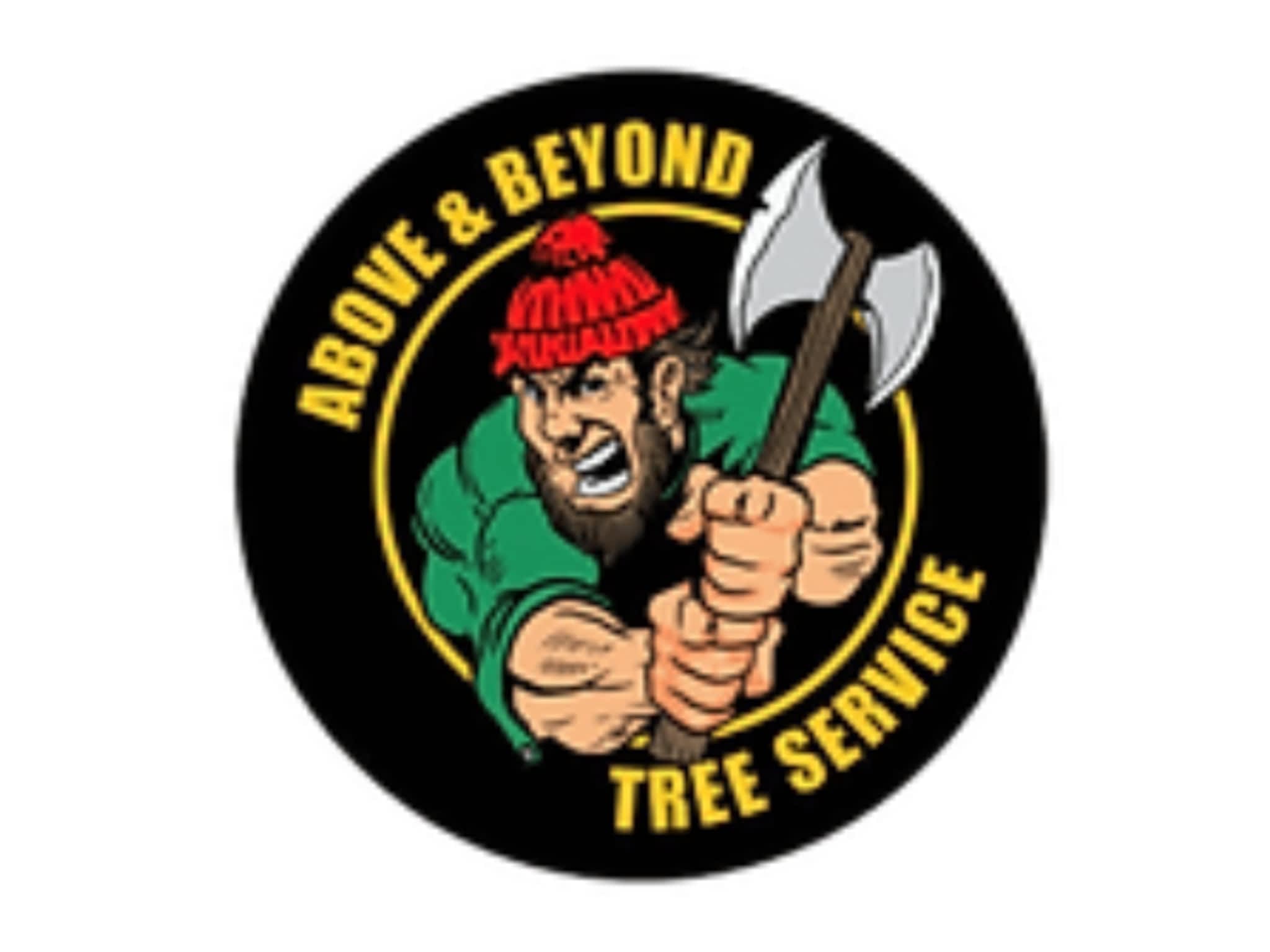 photo Above & Beyond Tree Service