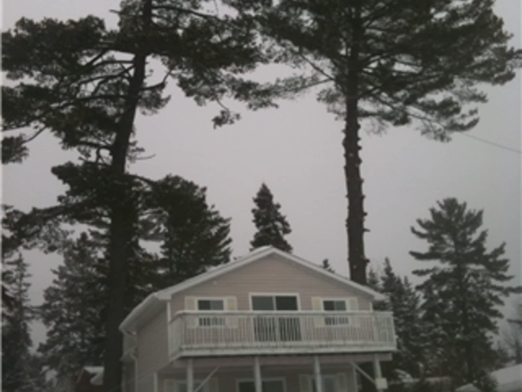 photo Allmac Tree Service