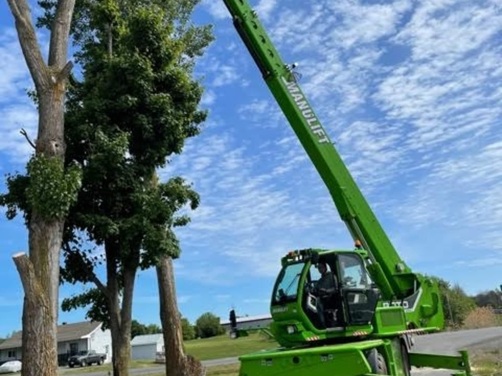 photo C & D Excavating and Tree Service